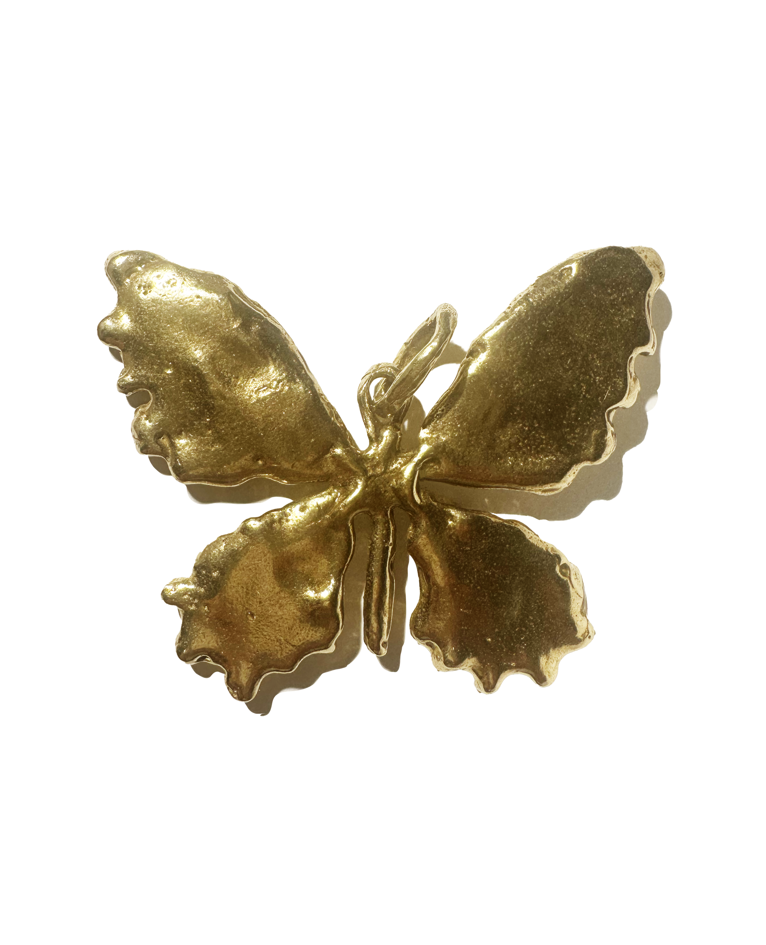 Papilio Spei