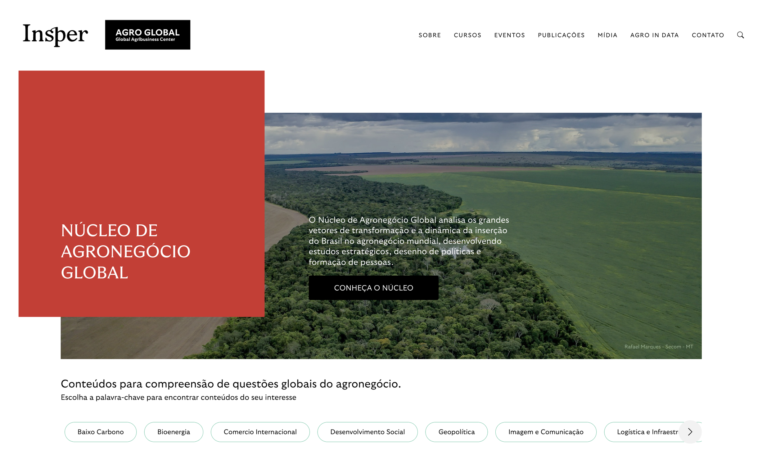 Página de um site institucional do centro de agronegócio global, com uma imagem de uma paisagem agrícola de vastas áreas verdes e céu nublado ao fundo, e um texto destacando o núcleo de agronegócio global e seus estudos estratégicos.