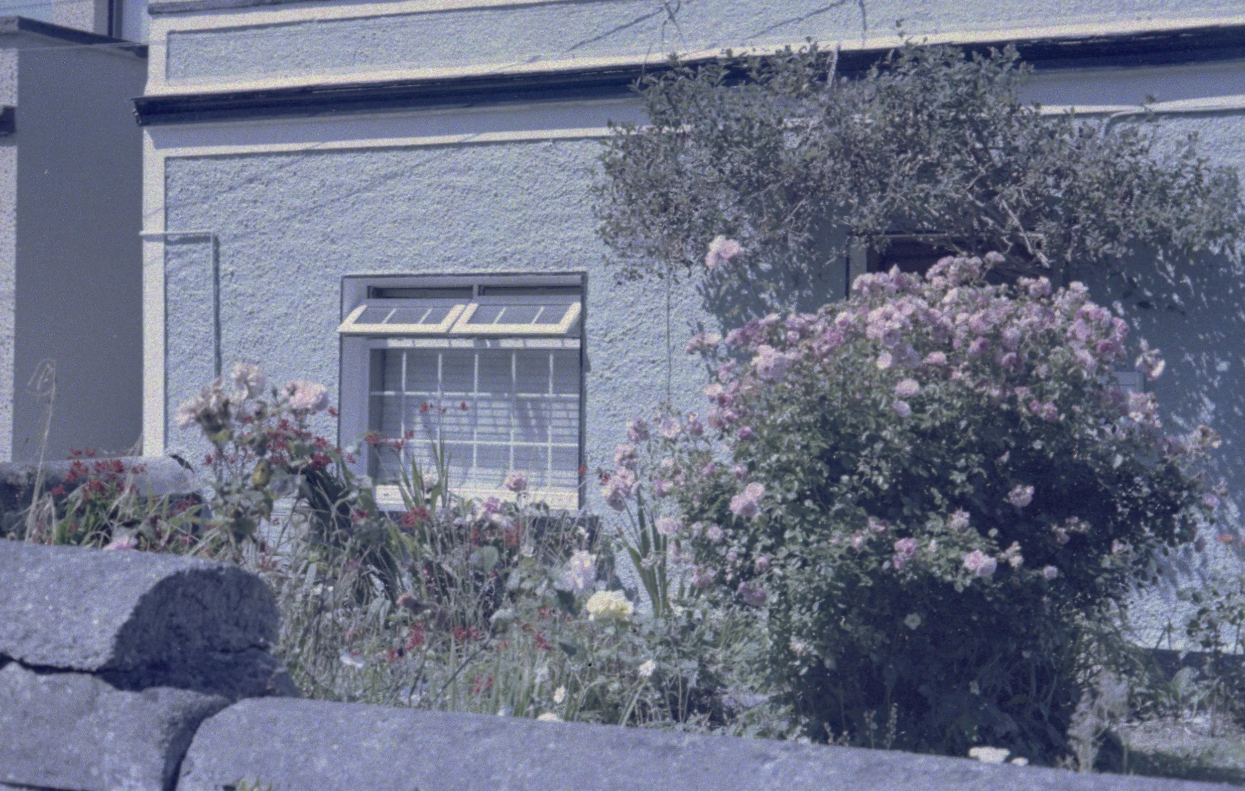 img029.jpg