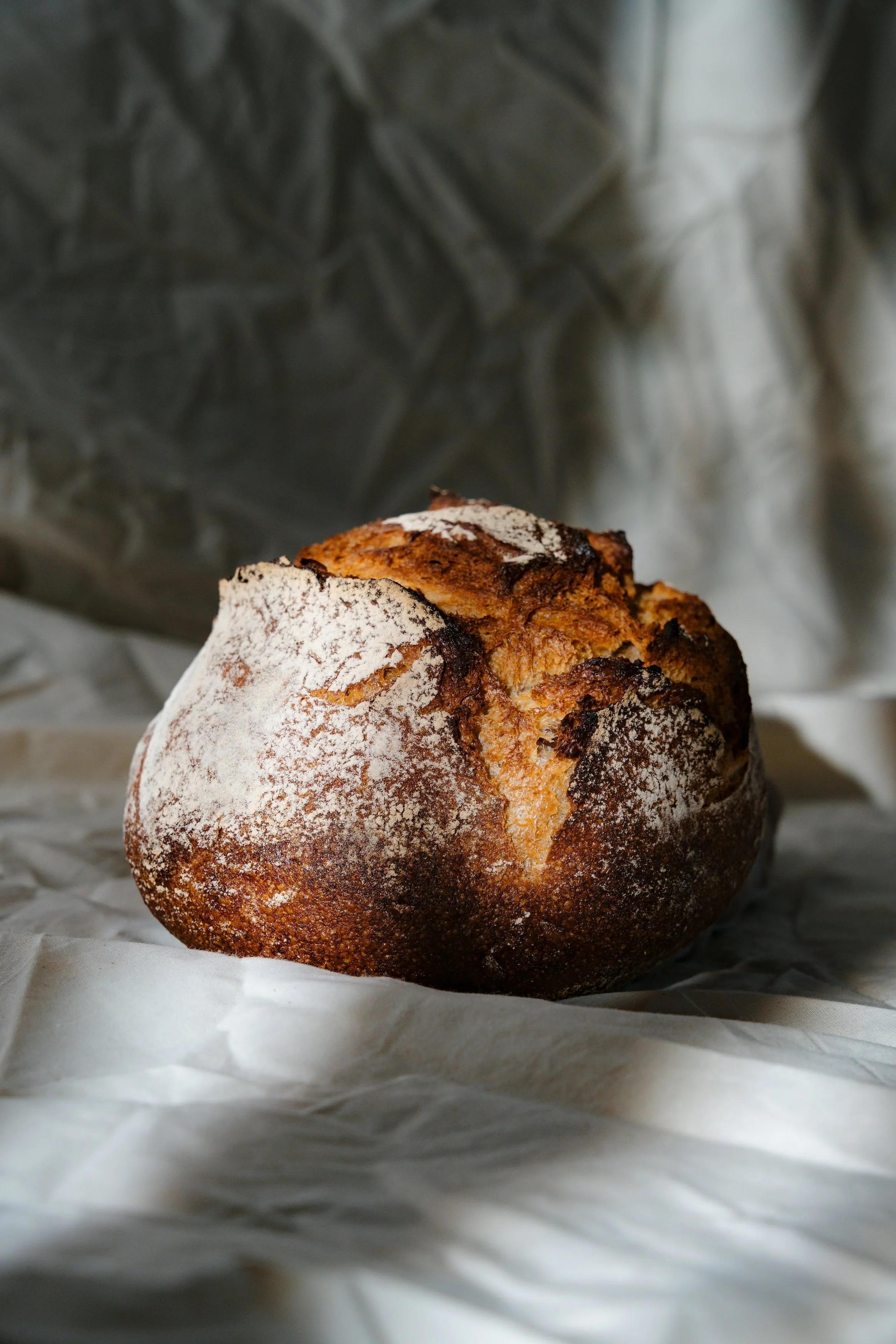 Bäckerei Korb 17.03.2026-30.jpg