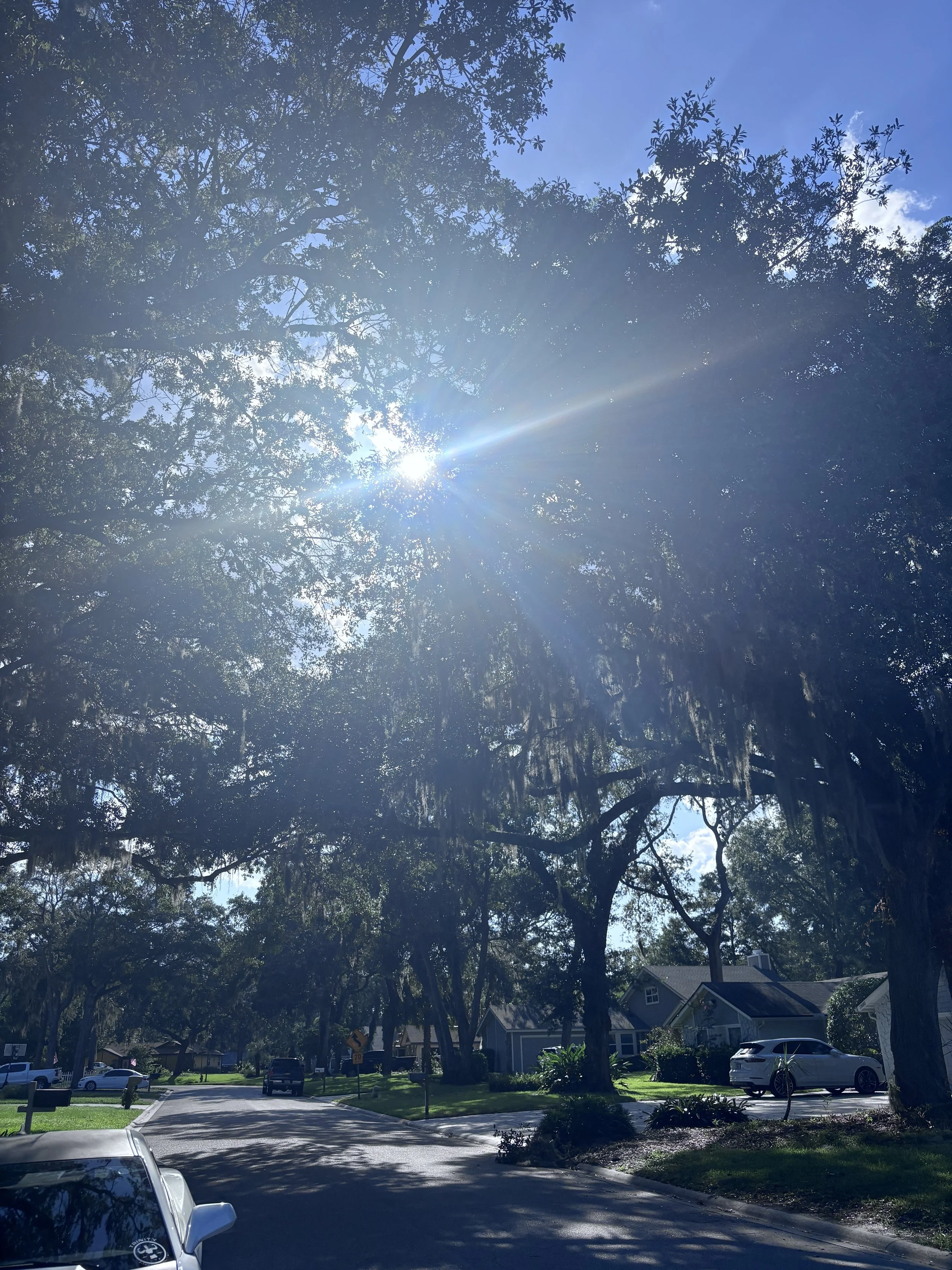 IMG_9473.jpeg