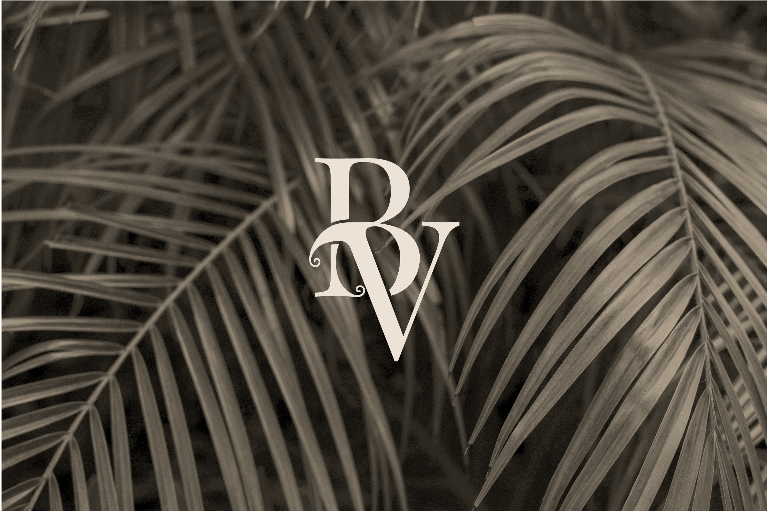 Image d'un fond de végétation tropicale avec le logo du "boudoir vert" en Guadeloupe.
