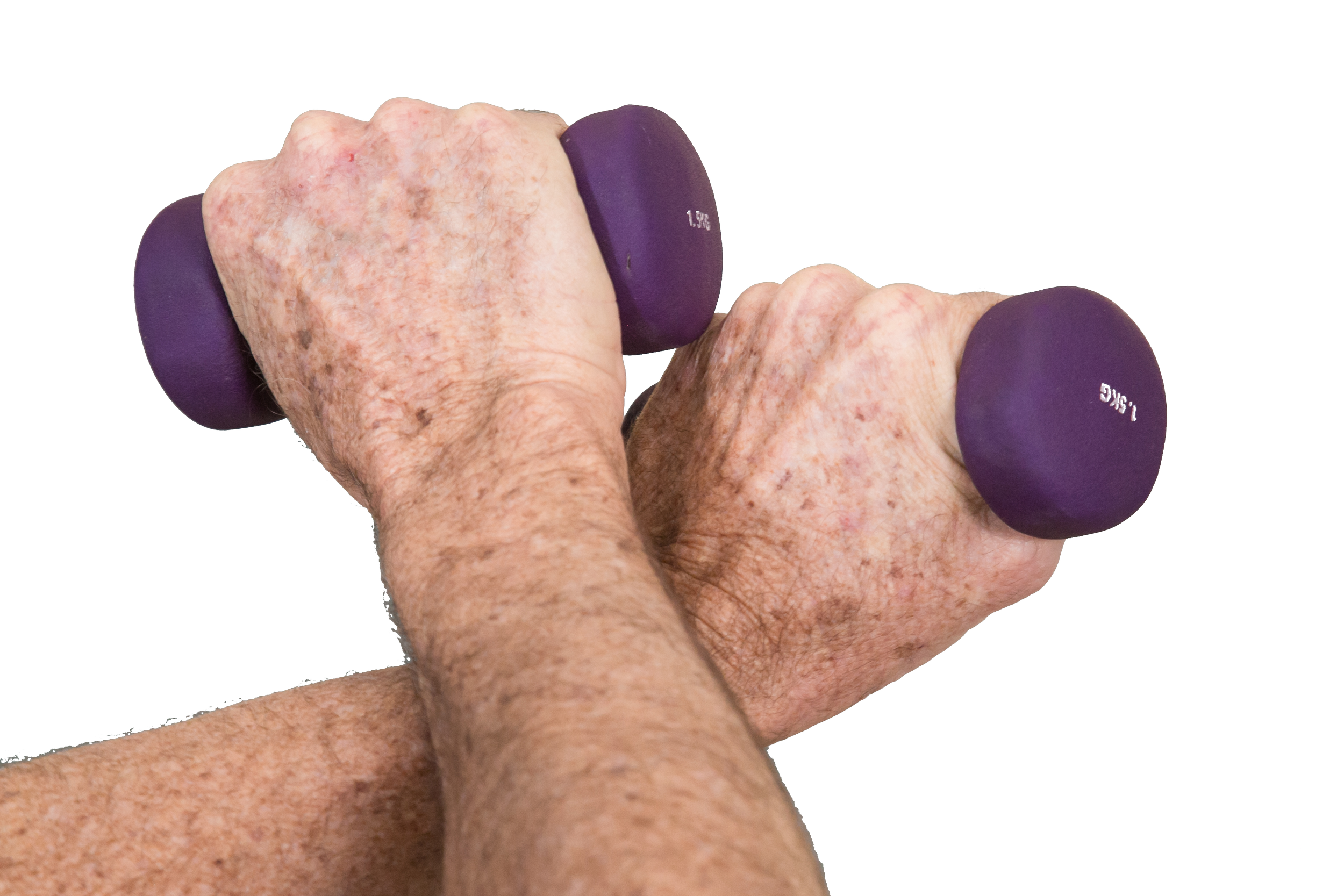 Close-up of elderly hands gripping purple dumbbells for exercising.