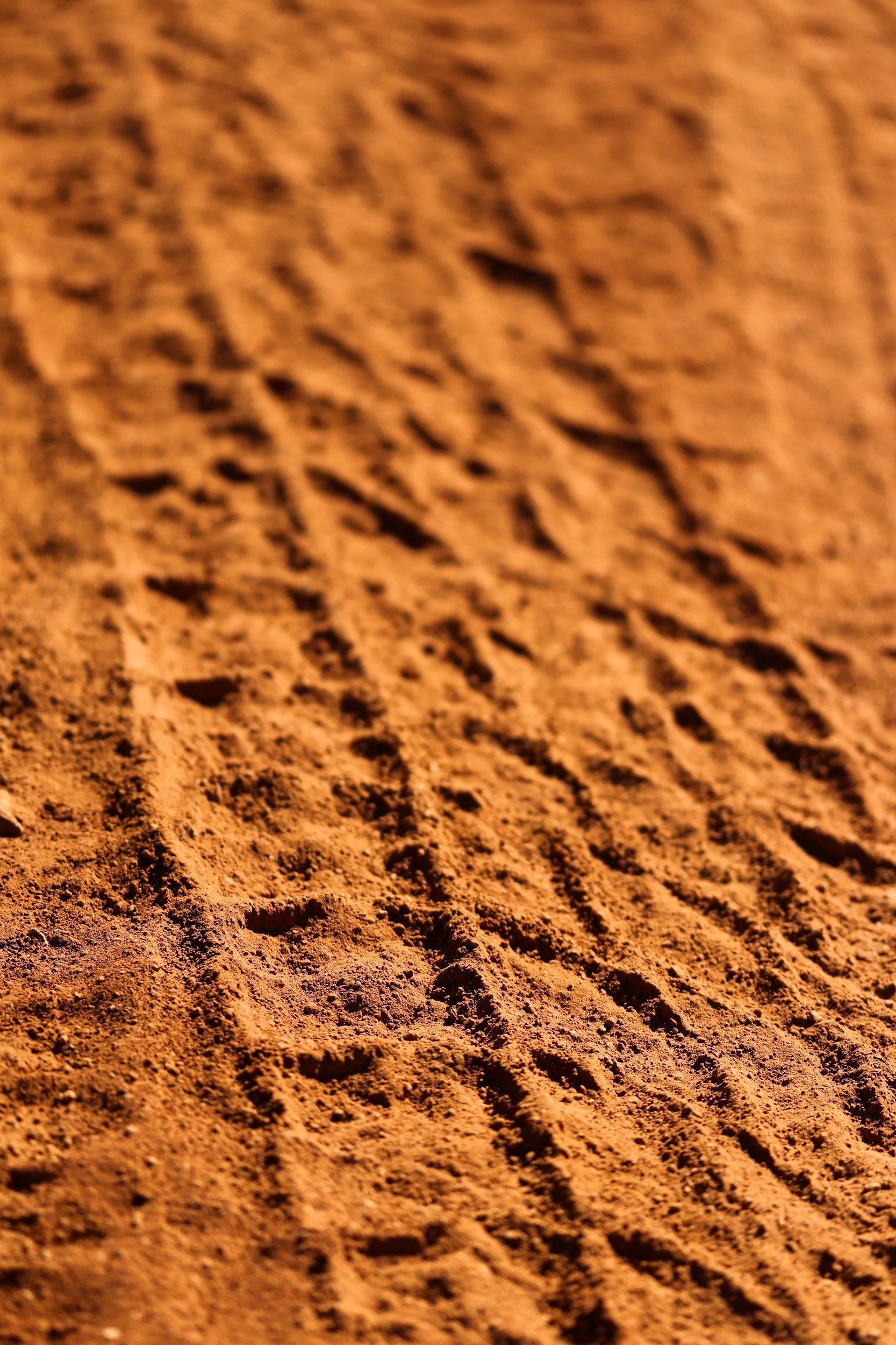 Close-up of reddish-brown textured sandy soil with footprints and ripples.