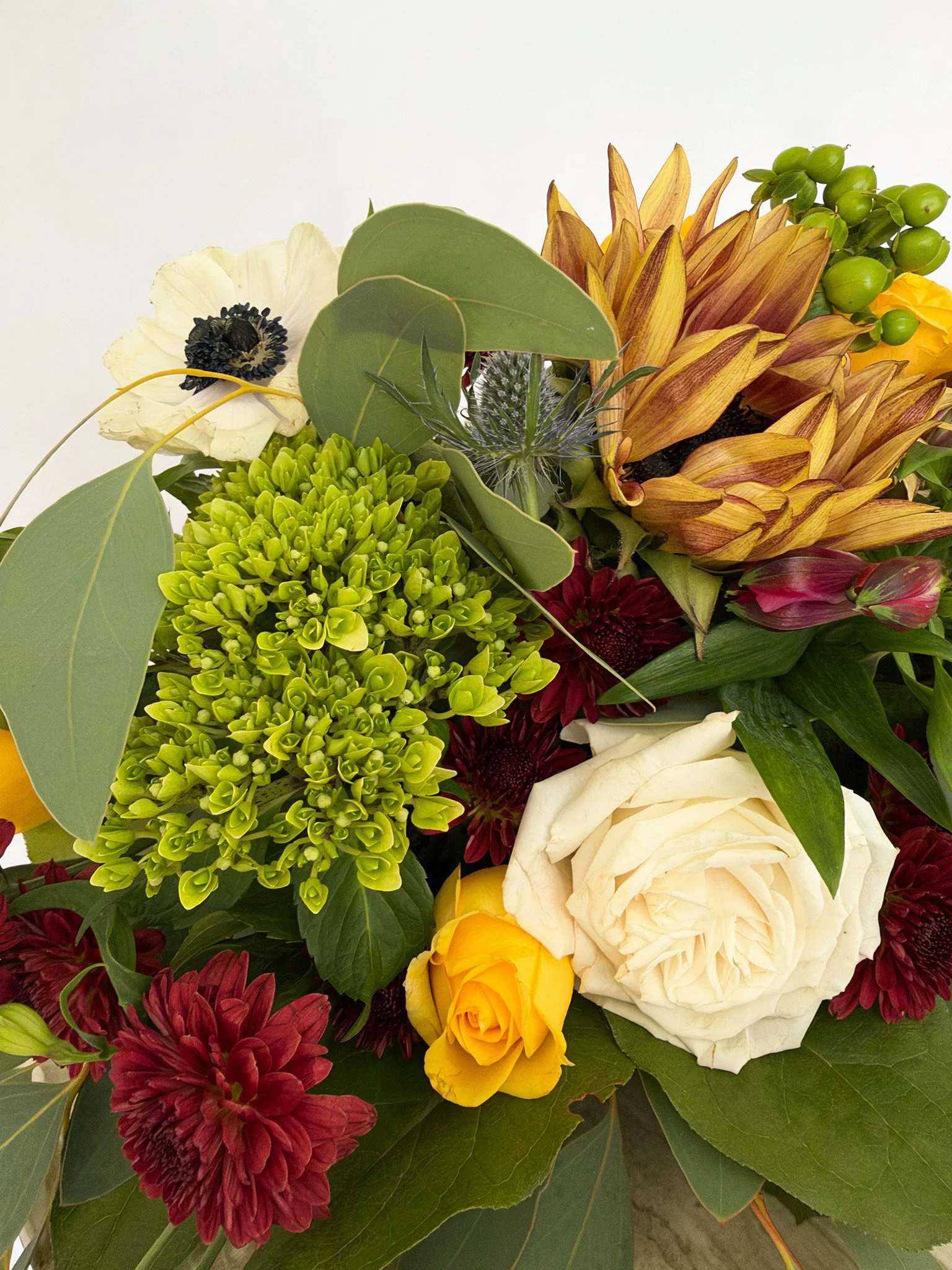 AutumnAbundance_Details.jpg