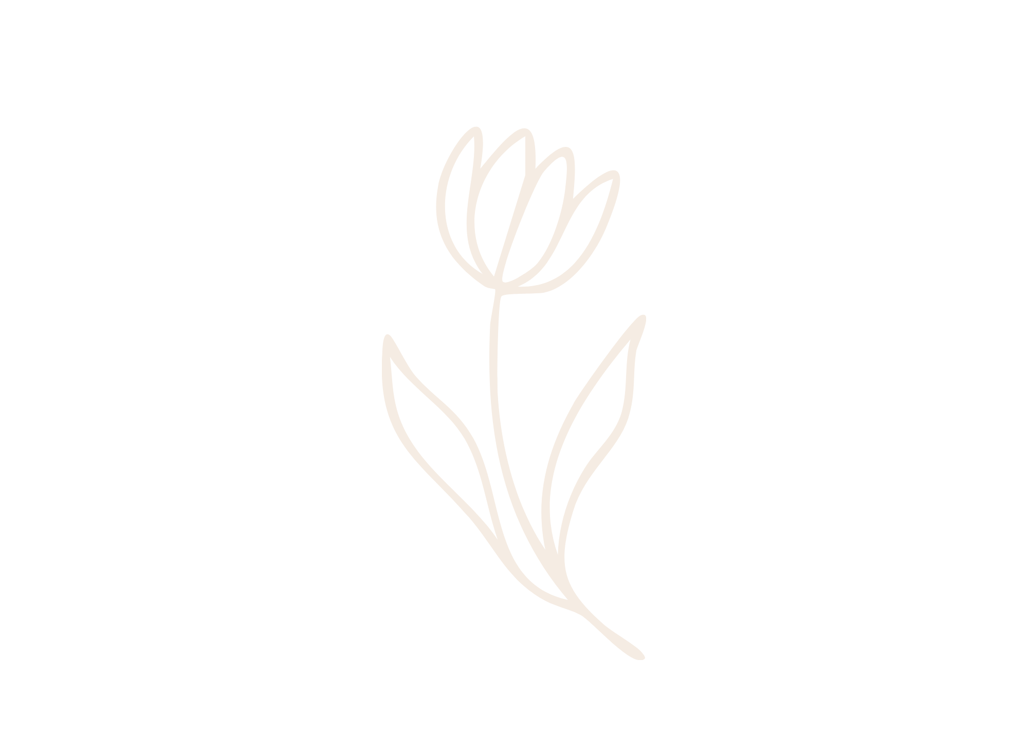 Minimalist line drawing of a flower with a stem, leaves, and a bud against a black background.