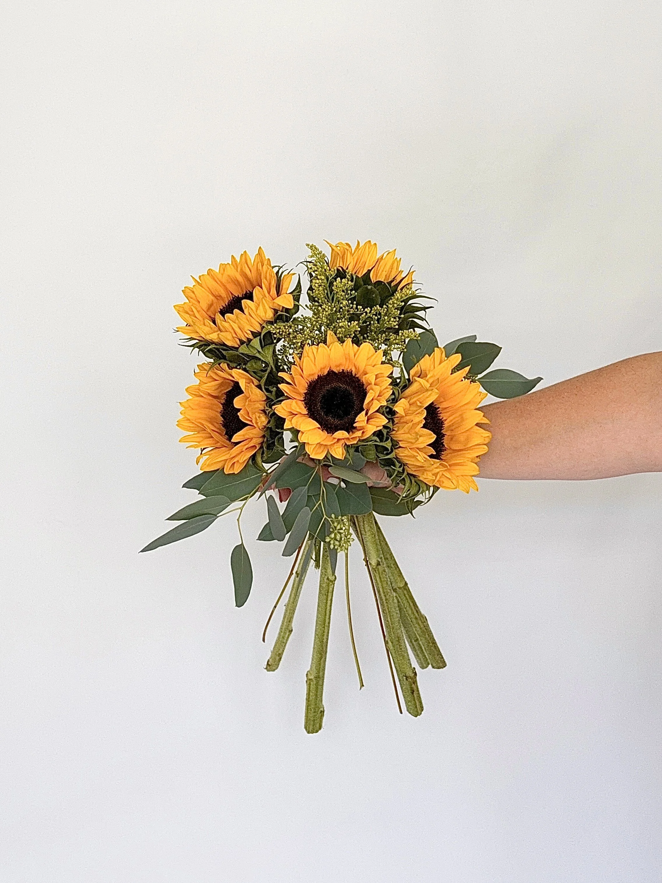 Sunflower & Shine