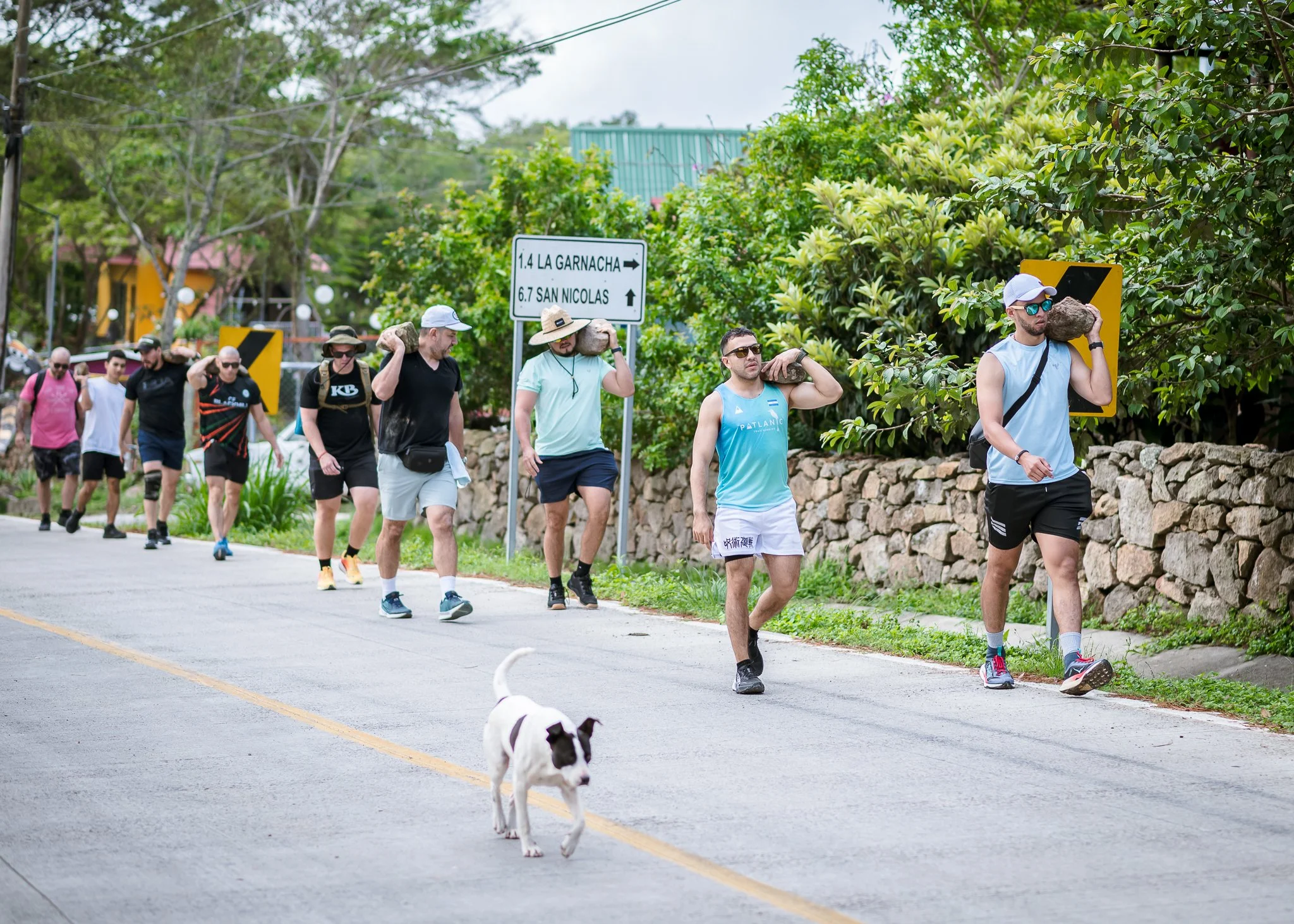 A group of people walking on a sidewalk carrying rocks on their shoulders, with two dogs walking ahead. There is a signpost indicating directions to La Garnacha and San Nicolas. The scene is outdoors with trees and buildings in the background.