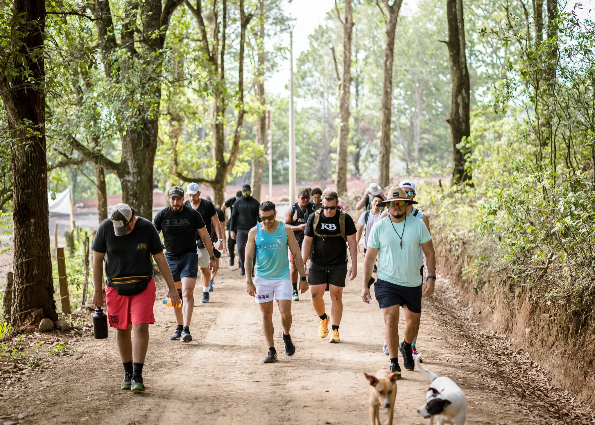 A group of people walking in a forest, some wearing sports clothing and sunglasses, accompanied by dogs.