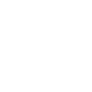 _Adapt-white.png