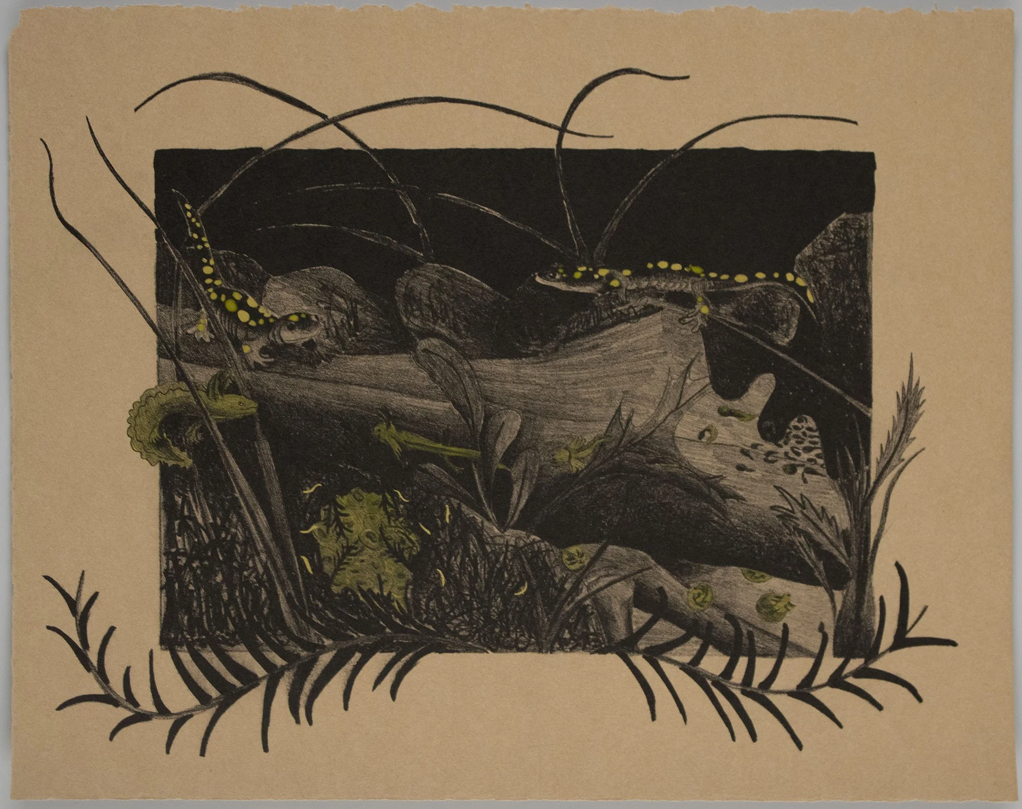 Endosymbiosis, ed. 23, 11x14 inches, stone lithograph, 2026