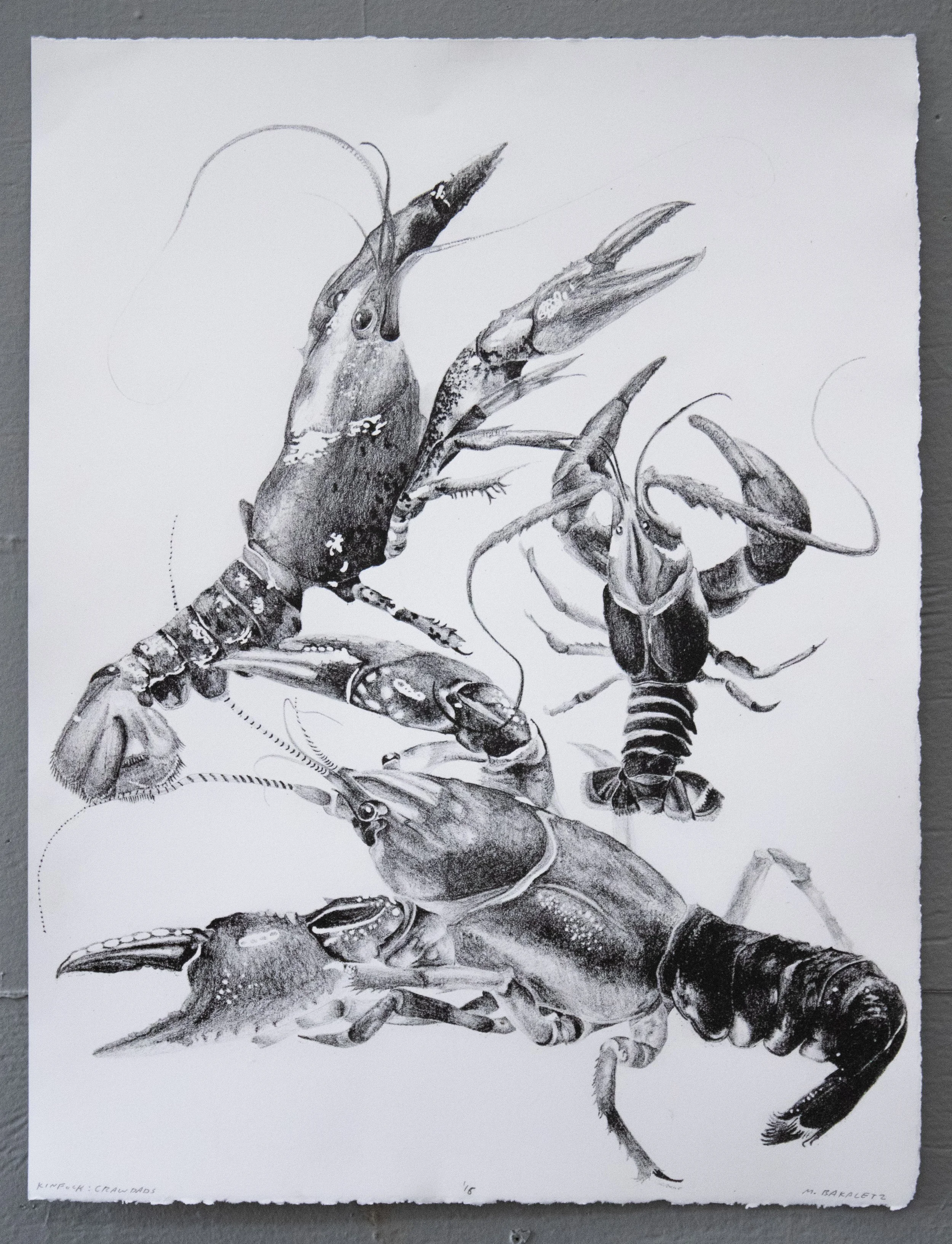 Kinfolk: Crawdads, plate lithograph, v. ed. 8, 15x20 inches, 2025