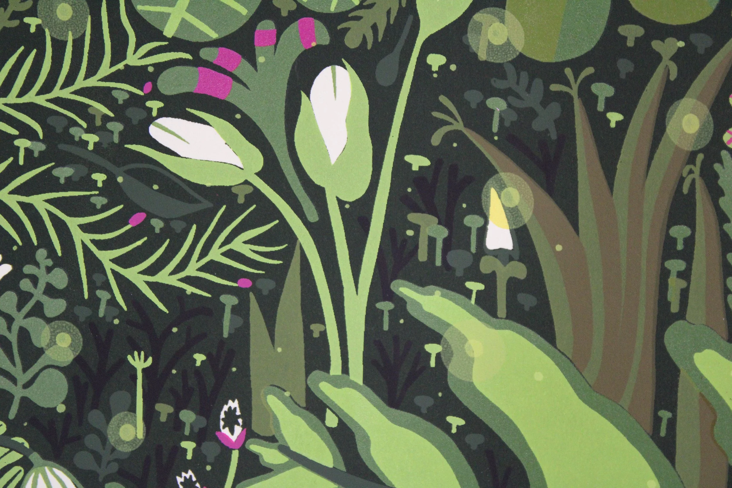 Detail: Lightnin' Bugs