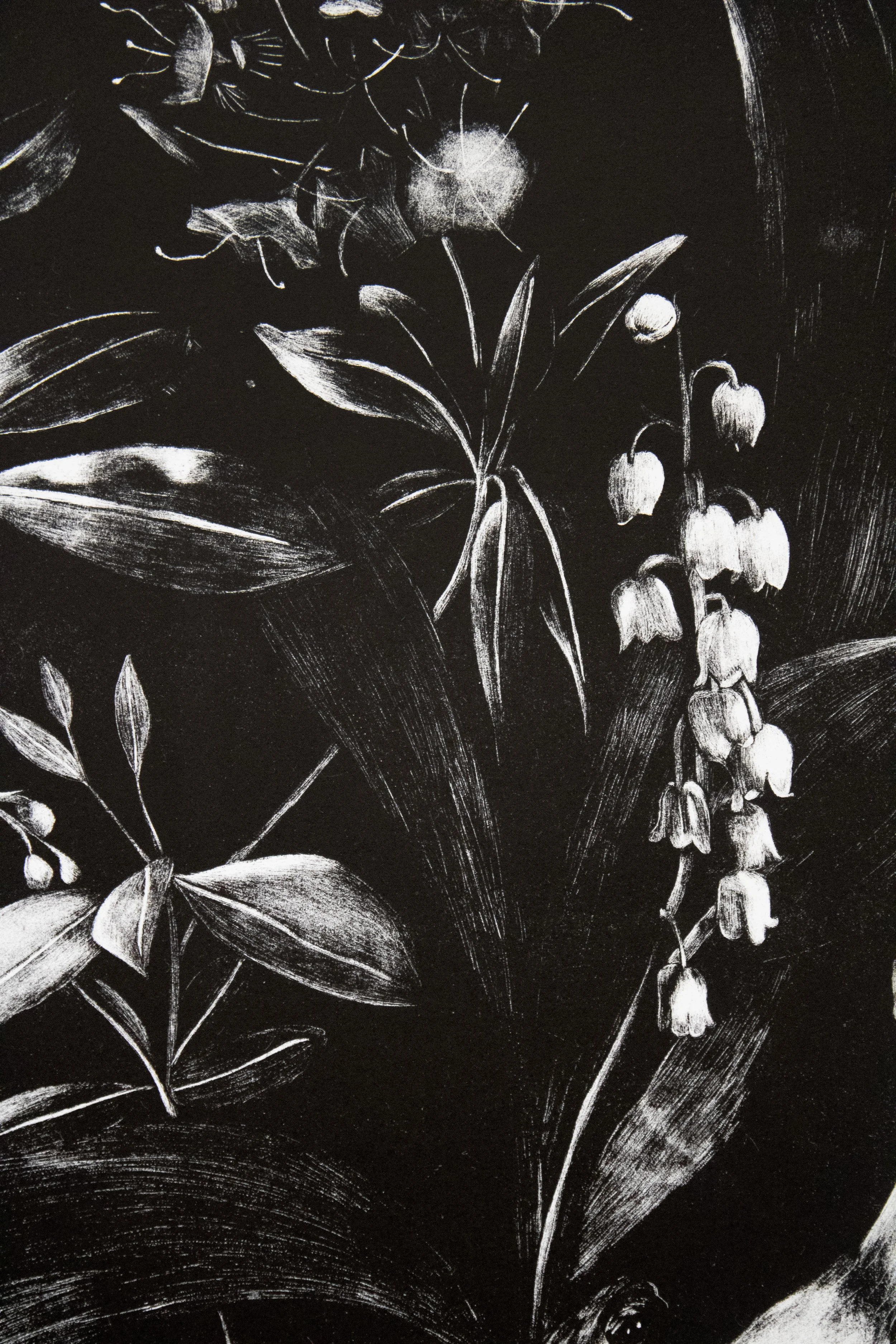 Detail: Kinfolk: Bog Turtle