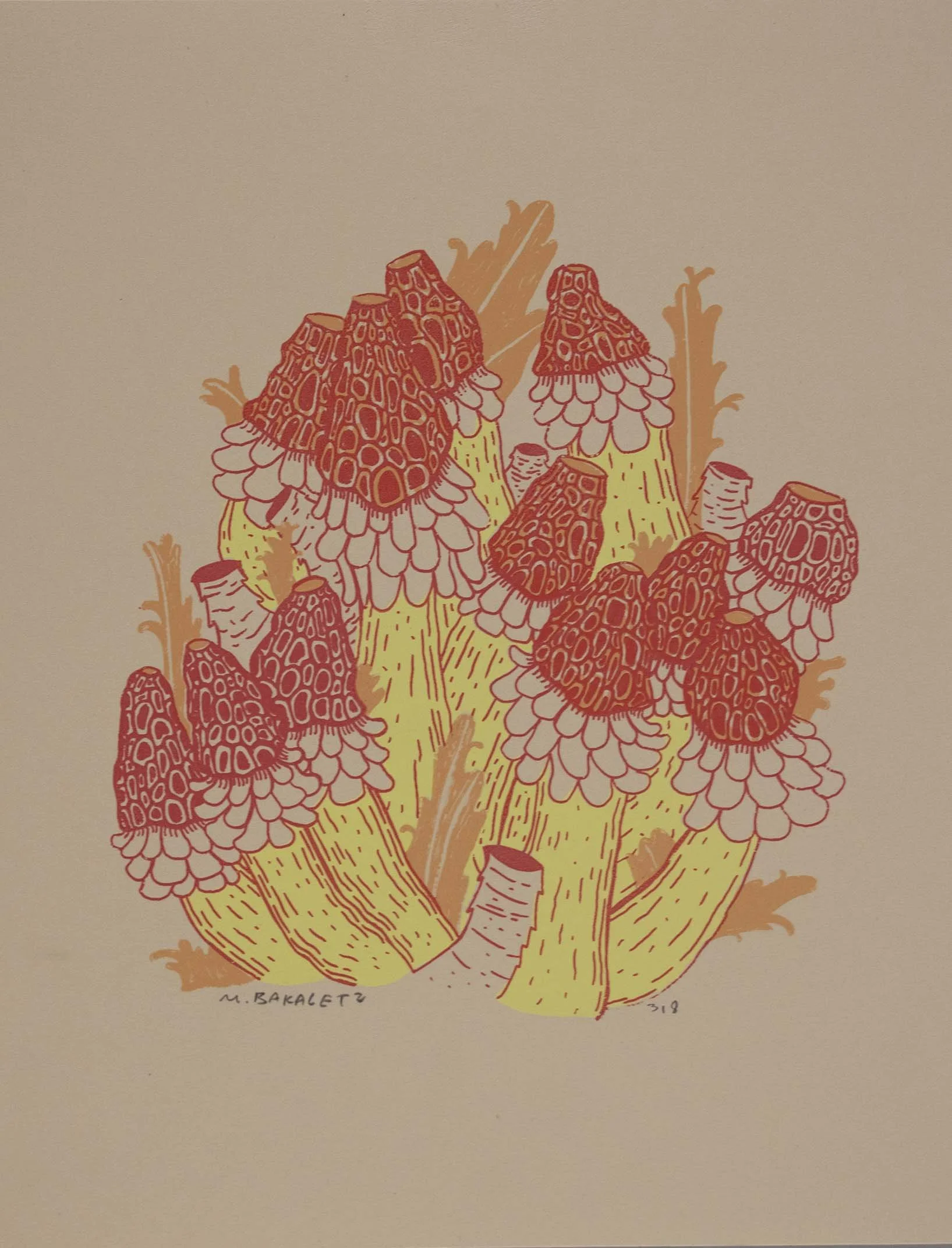 Stinkhorns, ed. 8, 8.5x11 inches, 3 layer screenprint, 2025
