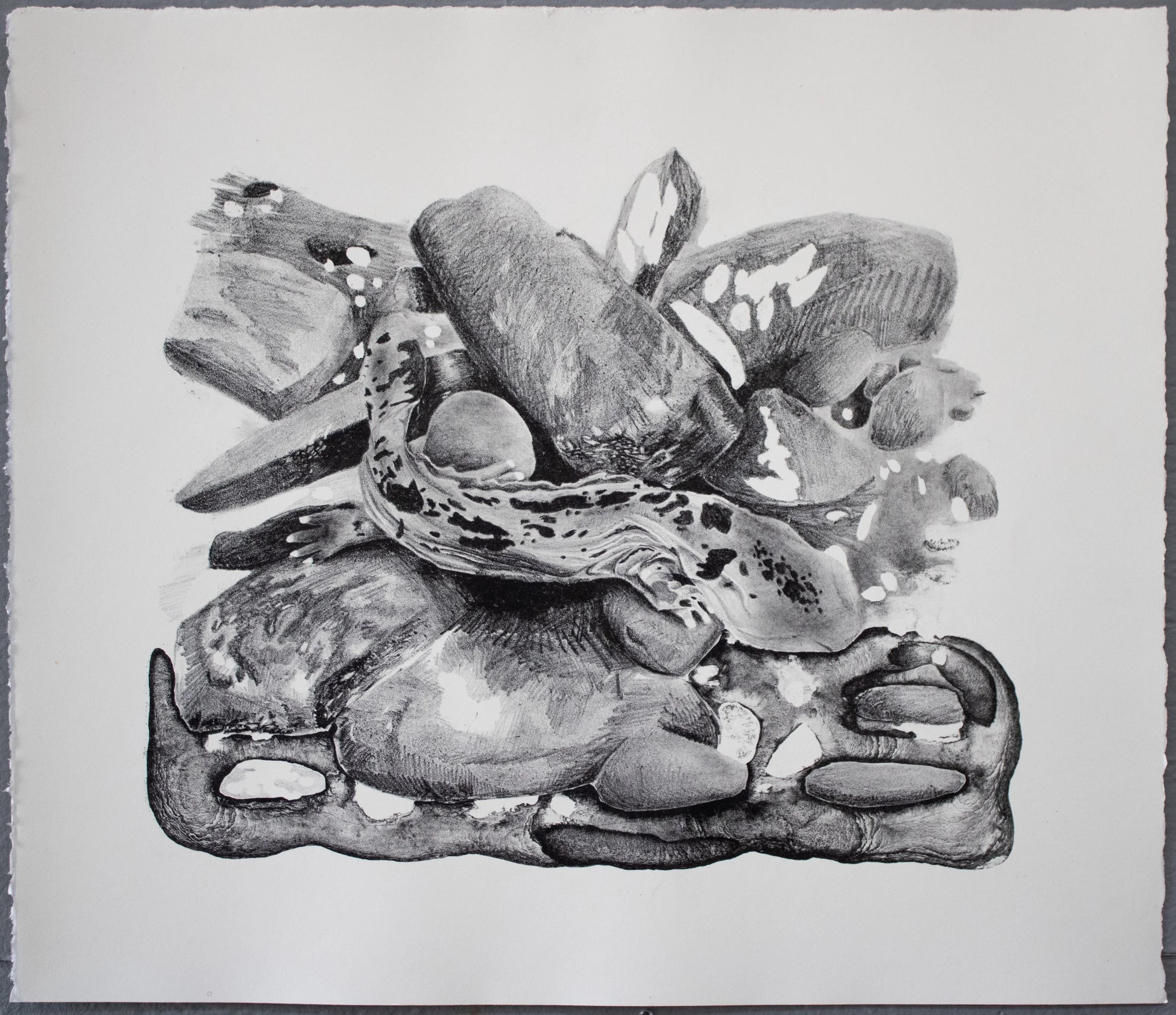 Kinfolk: Hellbender, stone lithograph, ed. 18, 15x17 inches, 2025