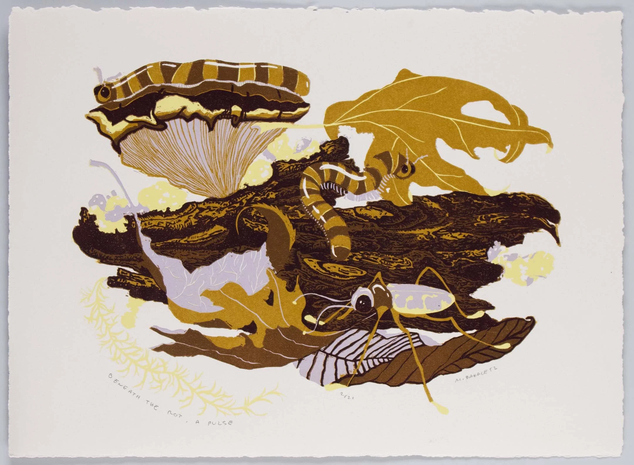 Beneath the Rot, A Pulse, ed. 21, 11x14 inches, reductive relief, 2025