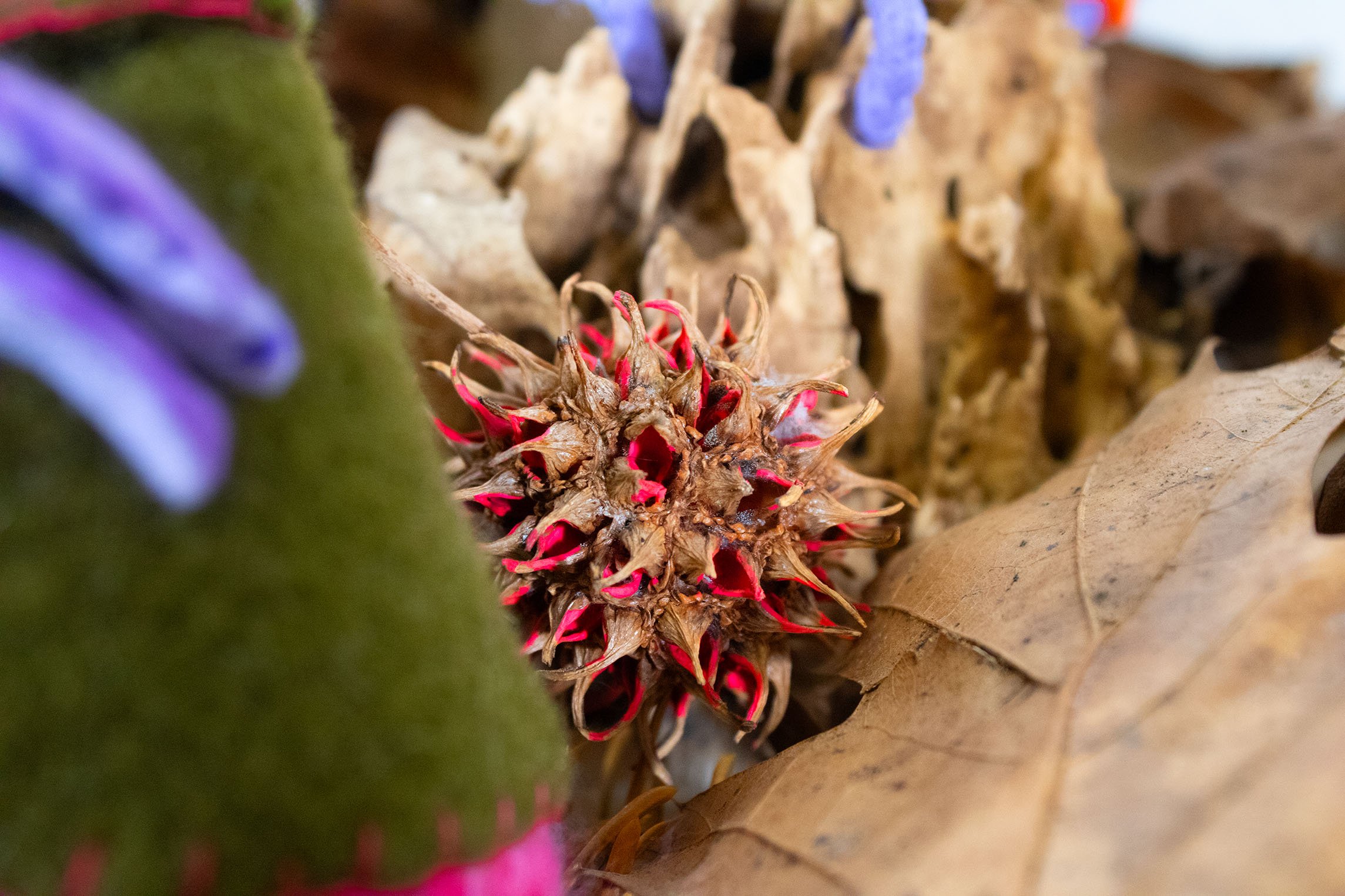 Detail: Hand-painted Sweetgum pod bindle