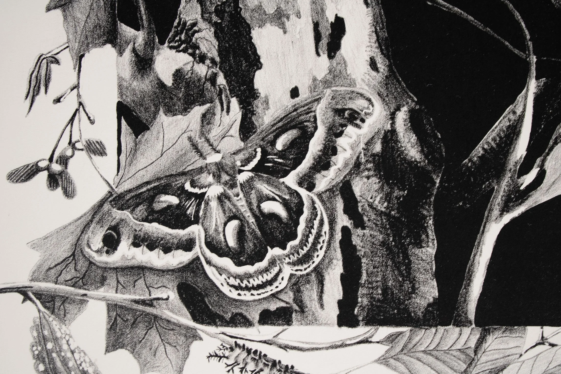 Detail: Knowledge of Wings