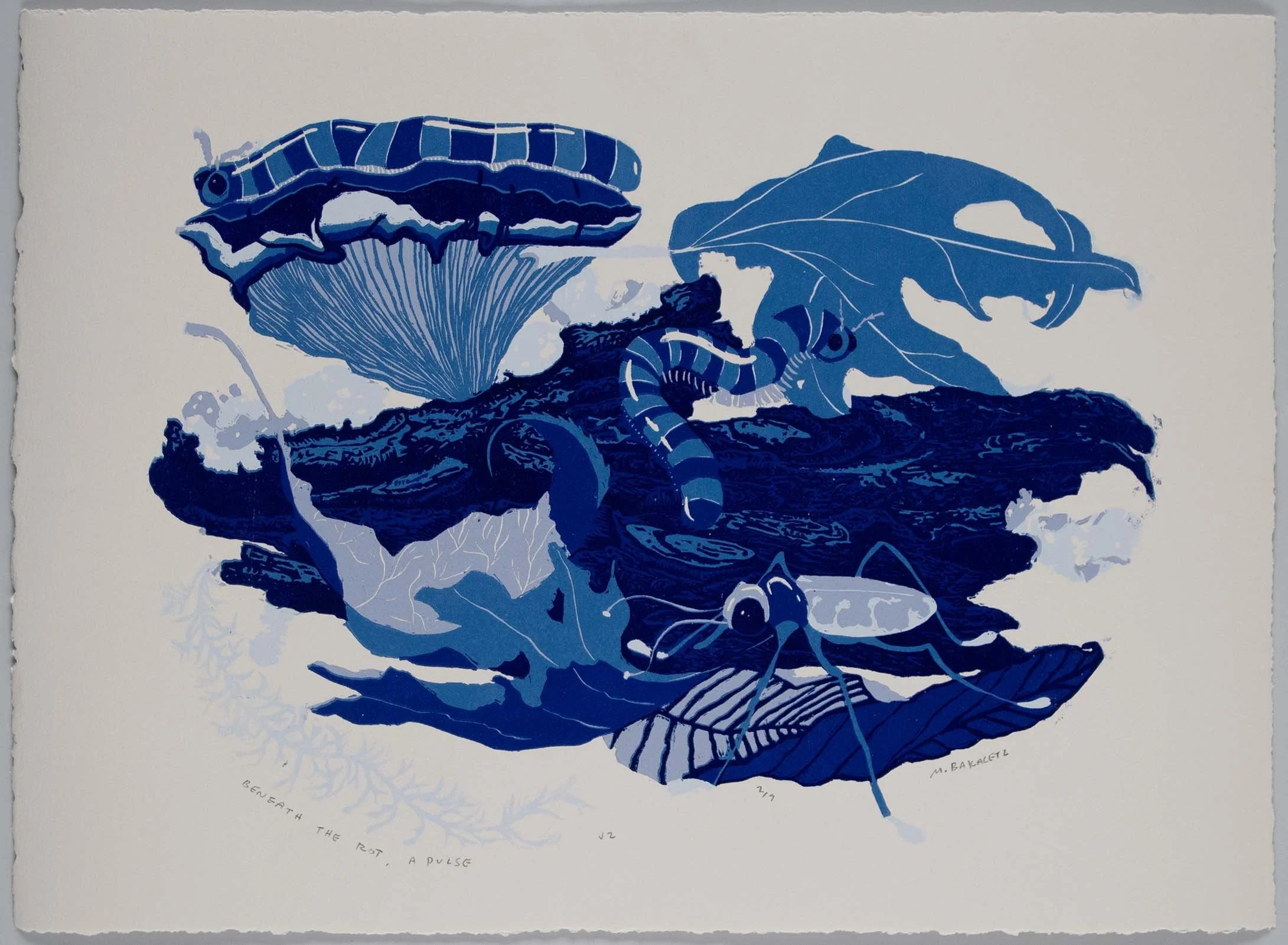 Beneath the Rot, A Pulse v2, ed. 9, 11x14 inches, reductive relief, 2025