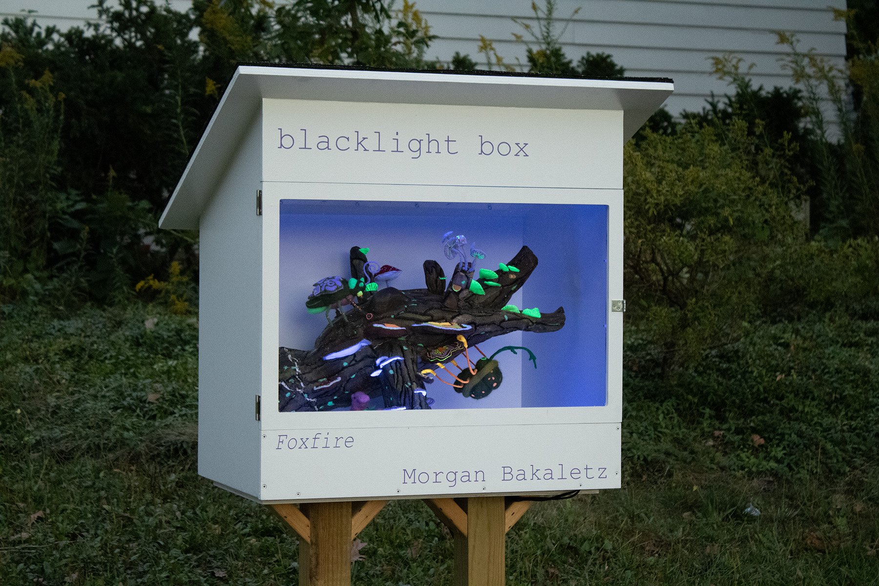 Foxfire, 25x15x8 inches, oil paint on EPS foam, wool roving, glass beads, 2025. 