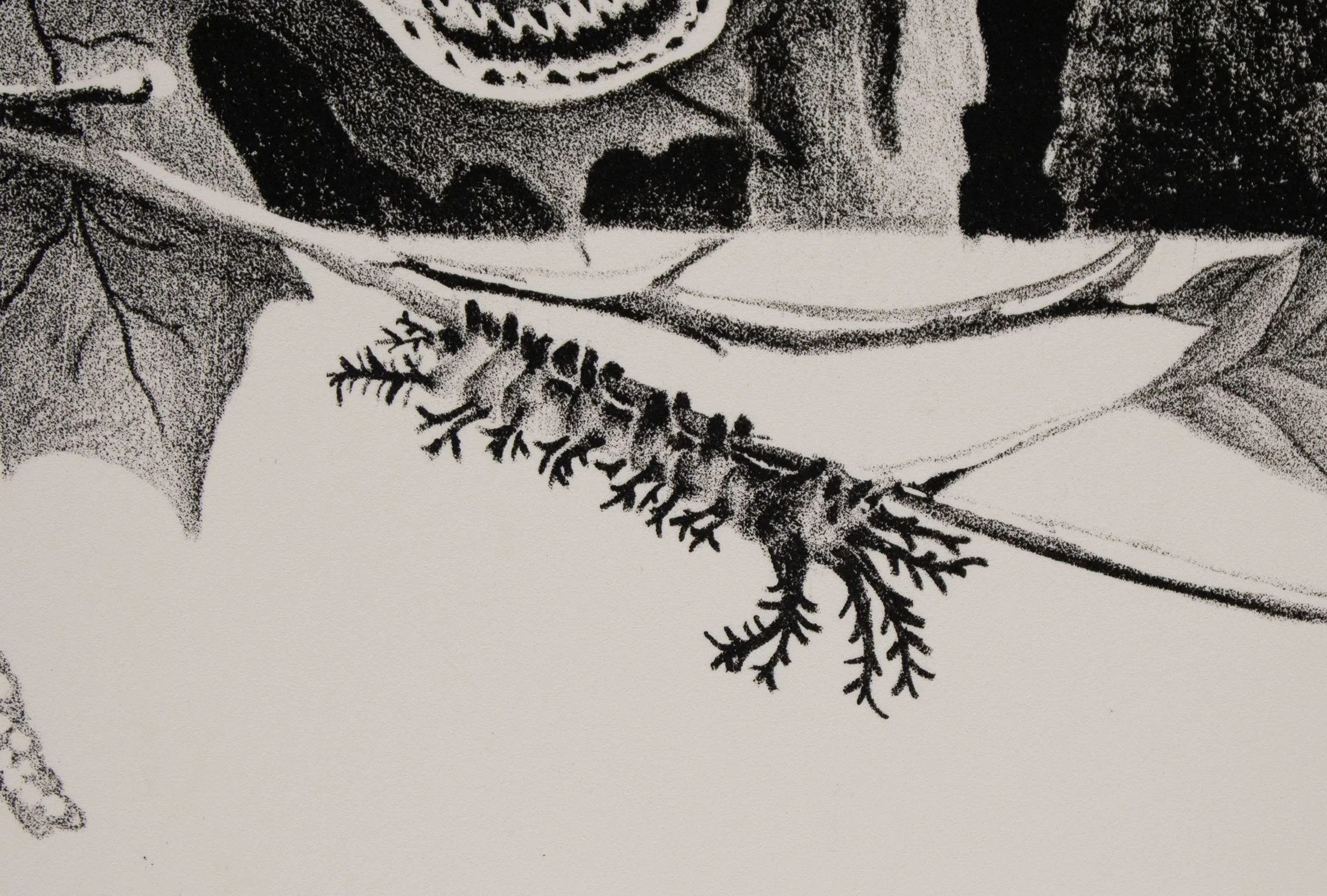 Detail: Knowledge of Wings