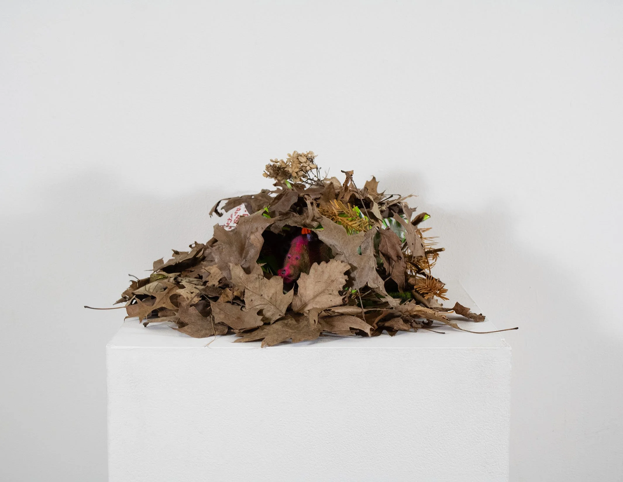 Foof, natural detritus, Mountain Dew box, Dr. Enuf bottle cap, wool roving, wool felt, cotton thread, my father's fishing lure, dimensions variable, 2026