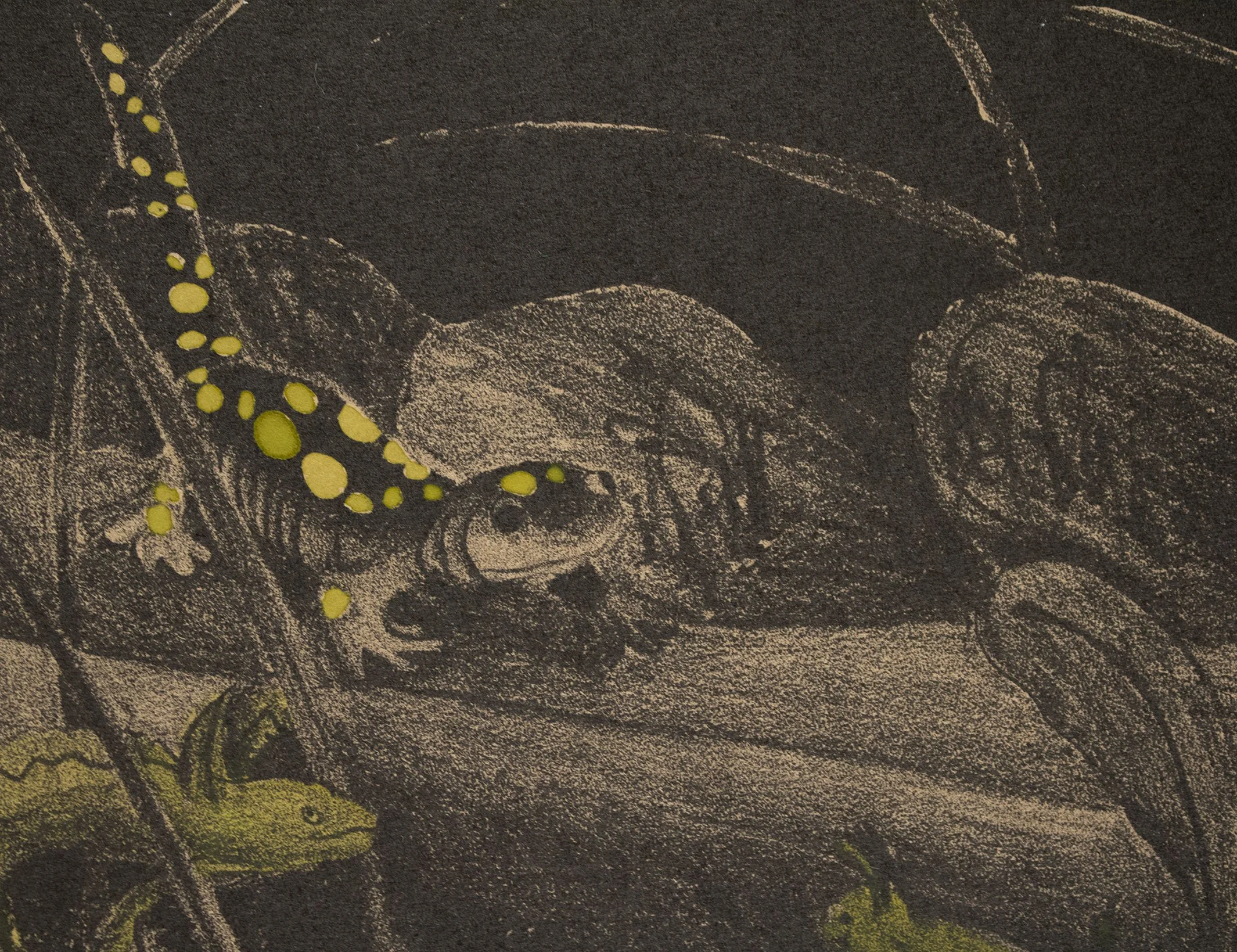 Detail: Endosymbiosis