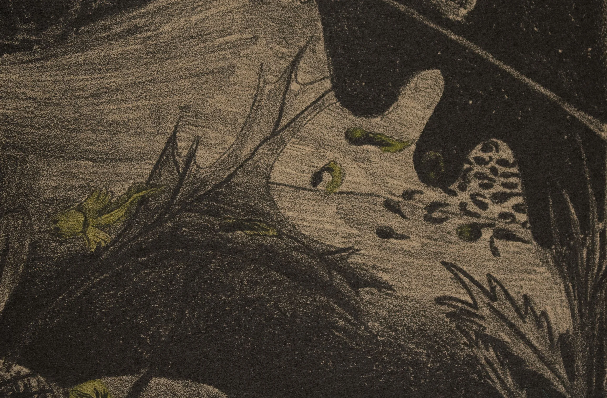 Detail: Endosymbiosis