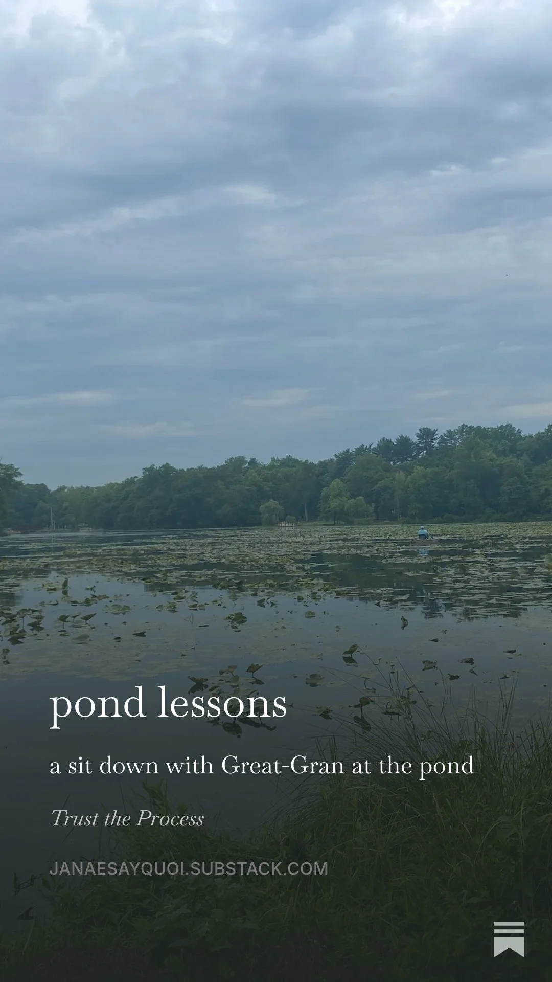 pond lessons