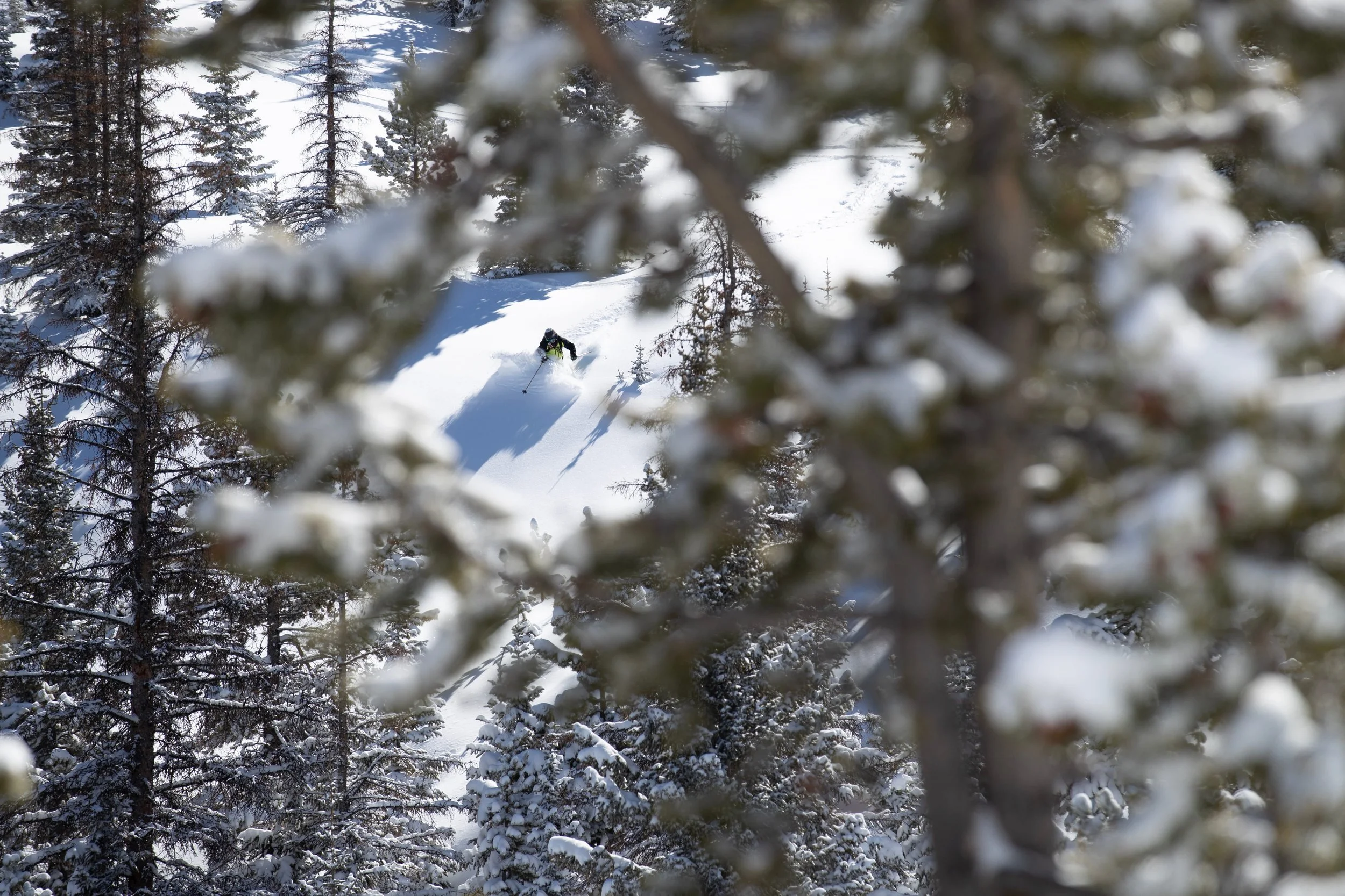 A person skiing in a snow-covered forest, seen through blurred branches in the foreground.