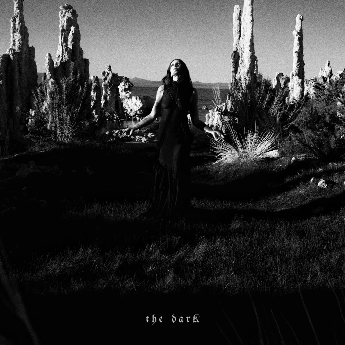chelsea wolfe | the dark (2026)