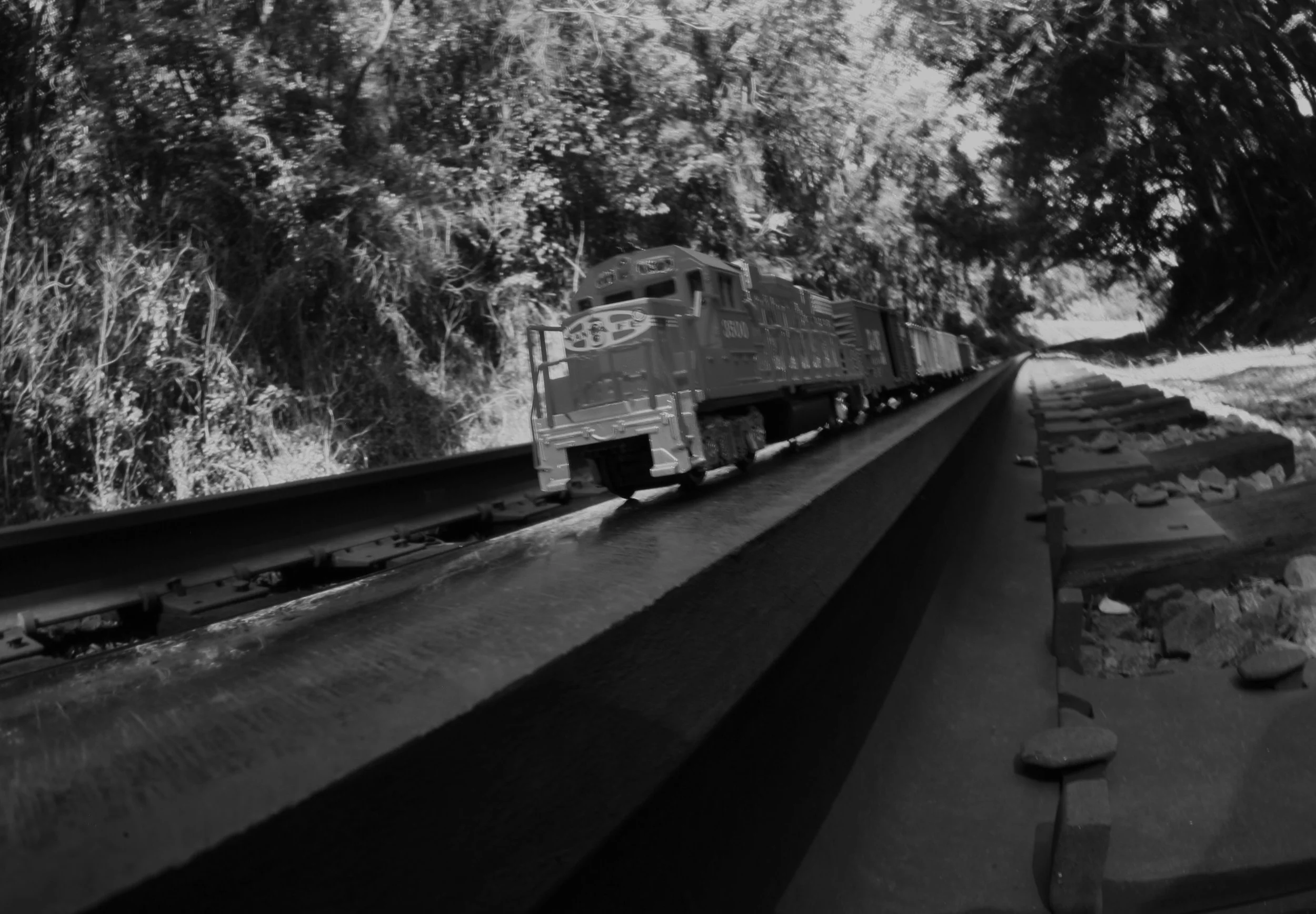 A miniature train travels along the rails in this creative black-and-white perspective, blending imagination with South Carolina’s long connection to the railroad. The image offers a playful tribute to the tracks that have carried people, goods, and 