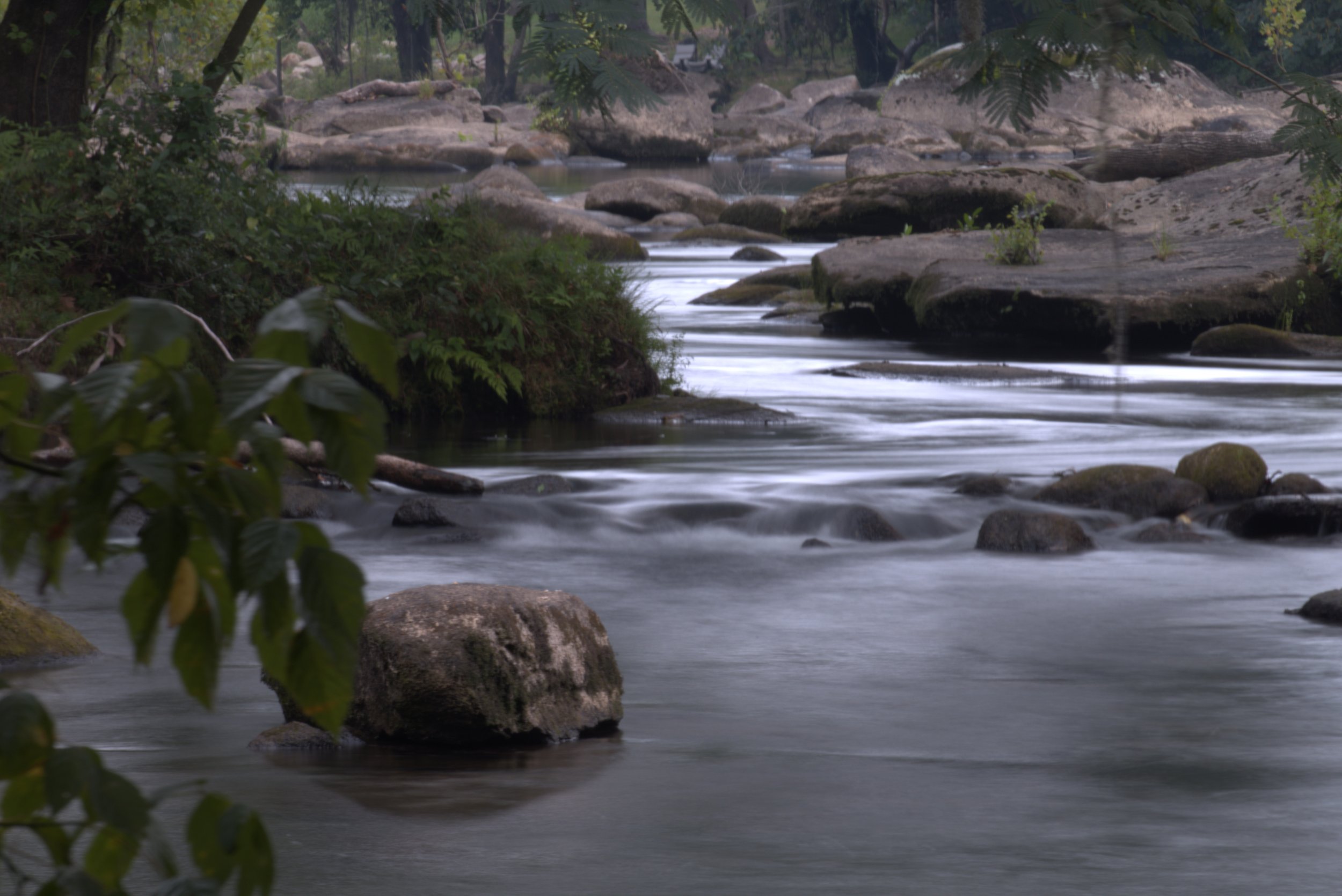 Saluda River II