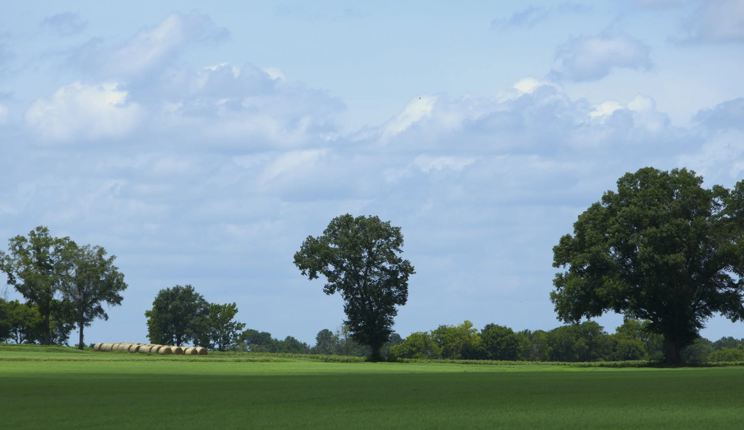 Rolling green fields, scattered hay bales, and towering old trees create a timeless rural scene along Highway 39 near Springfield, South Carolina. This quiet private farm captures the simple beauty of South Carolina’s countryside, where open land and