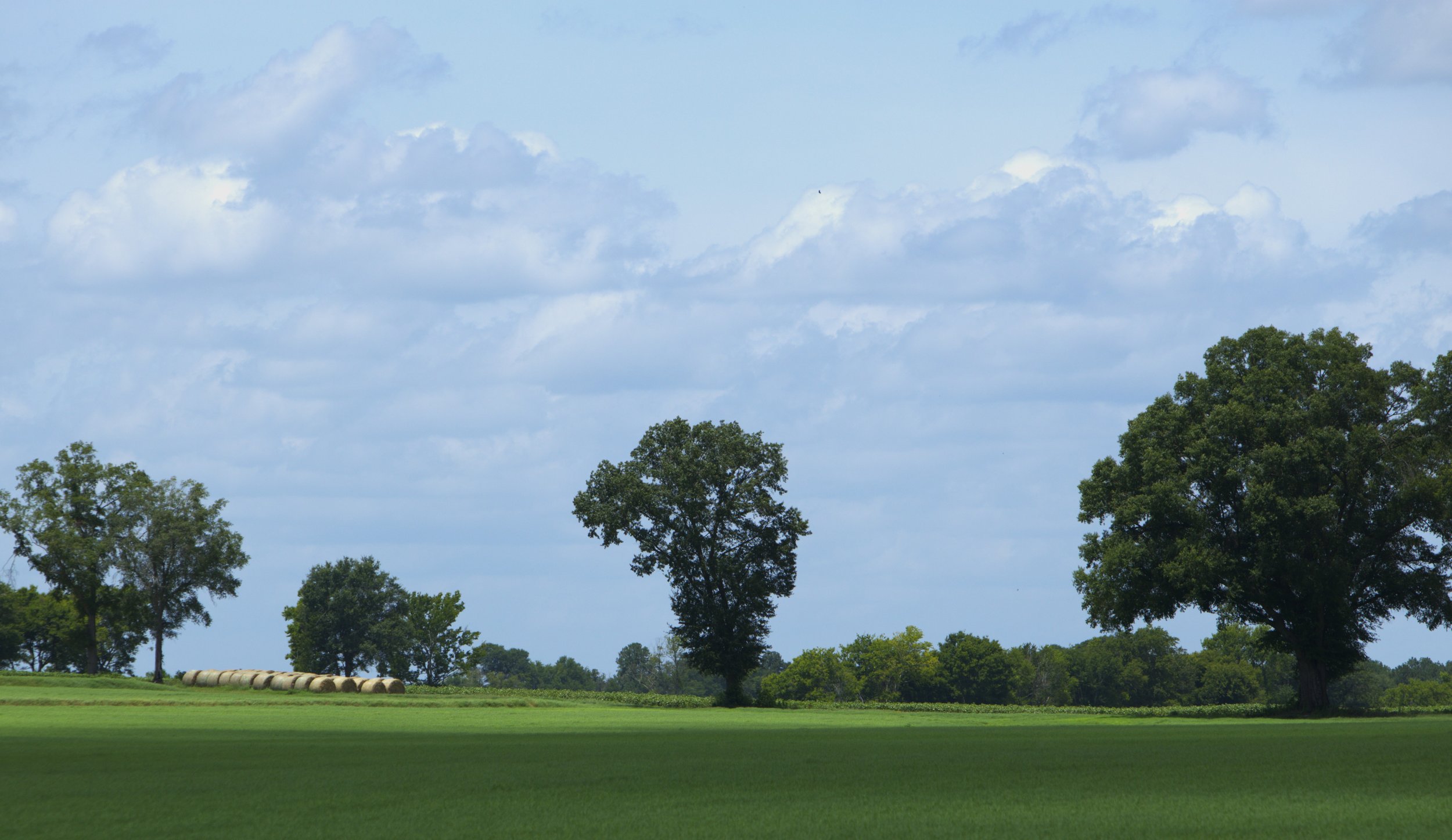 The Rolling Green Fields