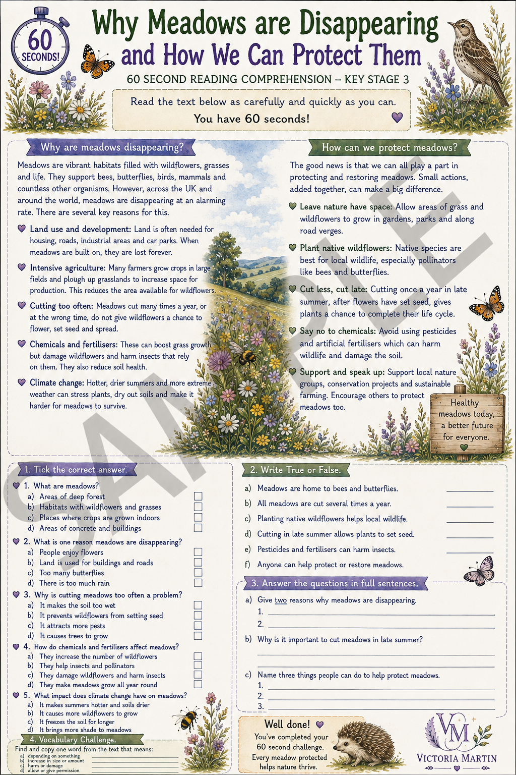 Key Stage 3 Why are Meadows Disappearing Reading Comprehension