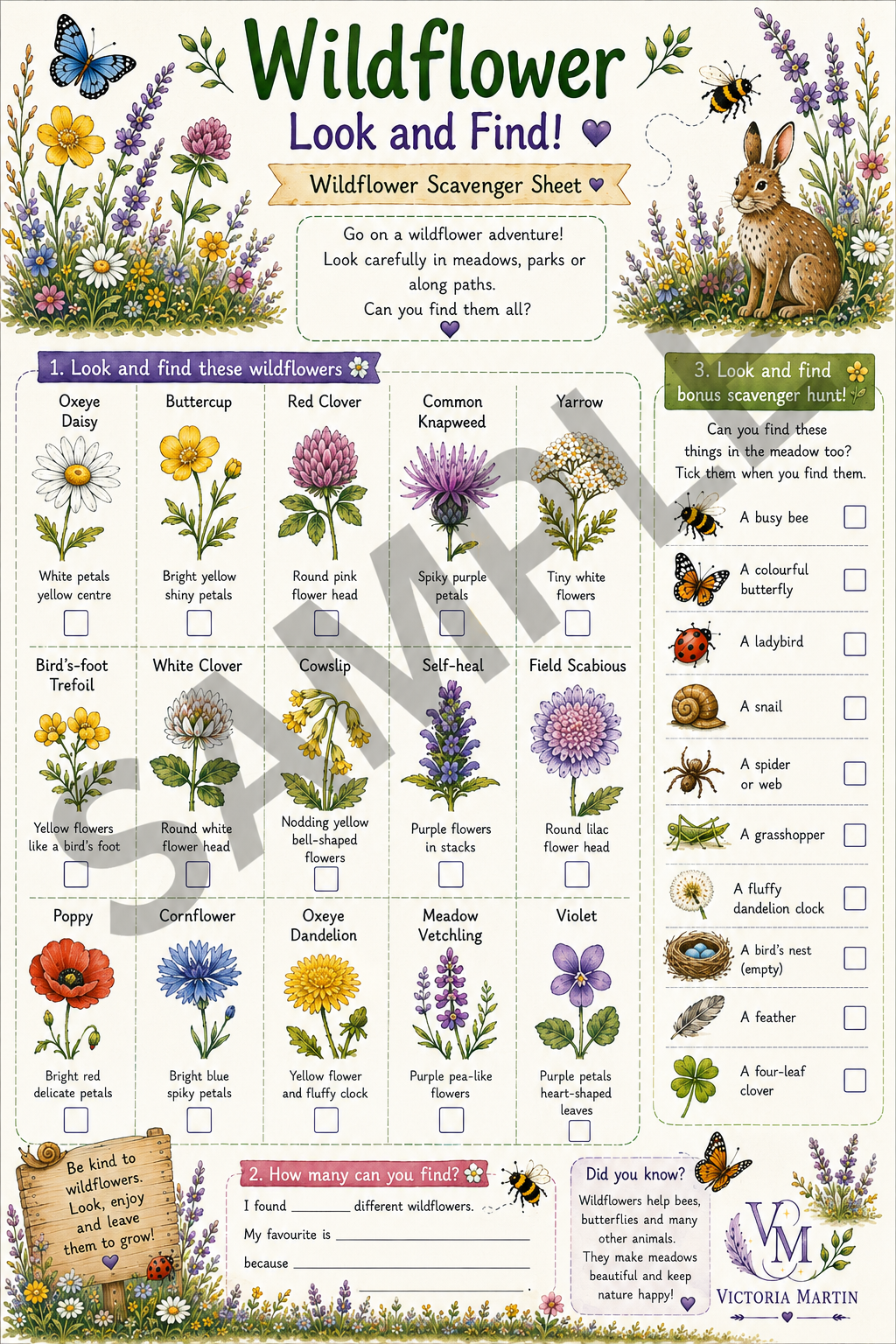Wildflower Look and Find