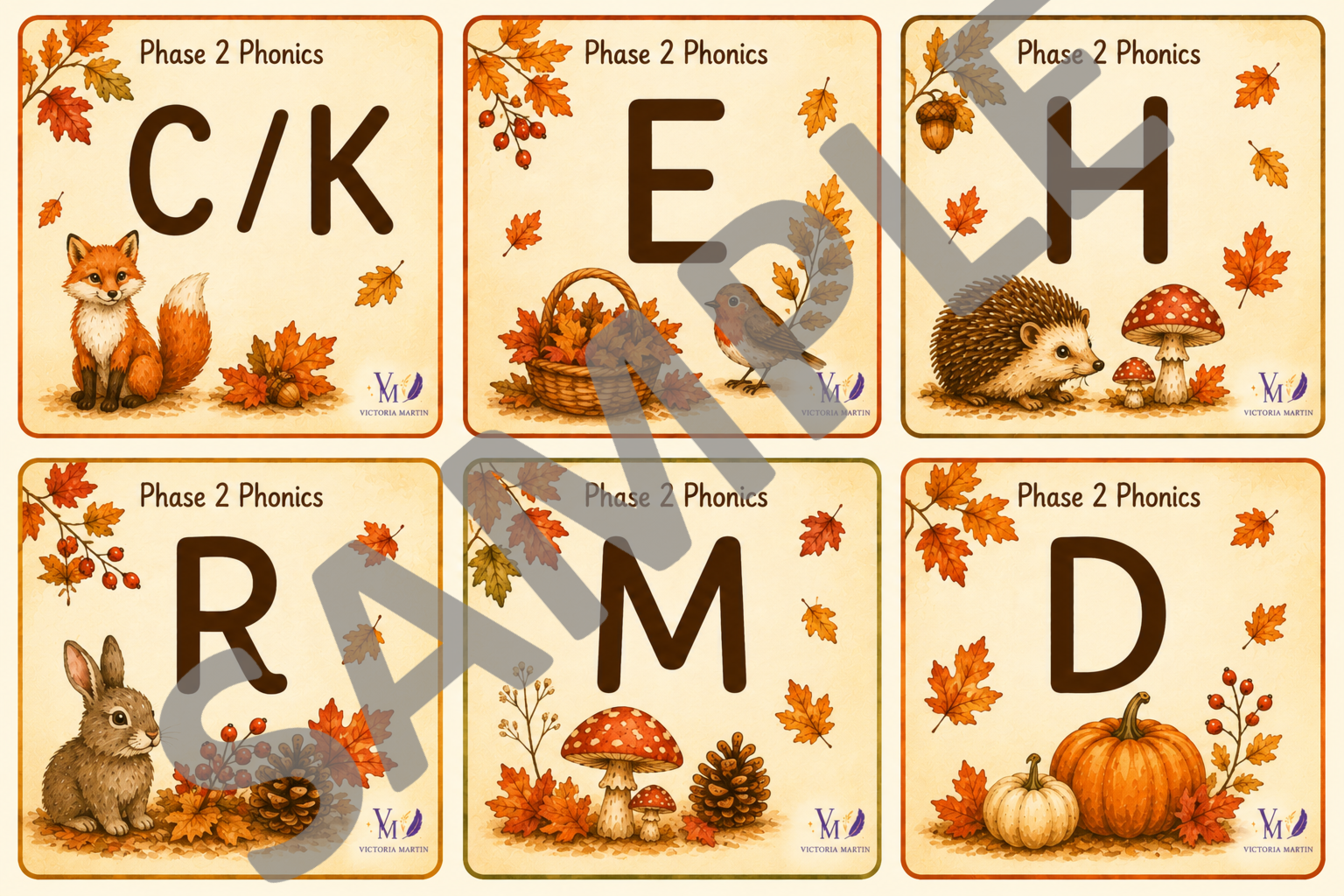 Phonics Phase 2 Cards sample.png