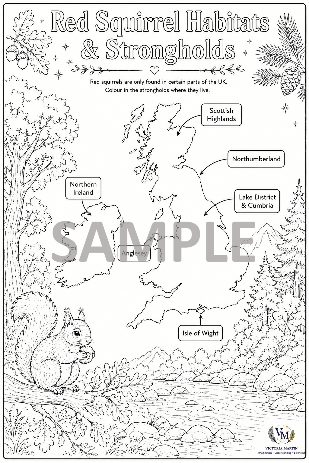 Red Squirrel Strong Holds and Habitats Colouring Activity