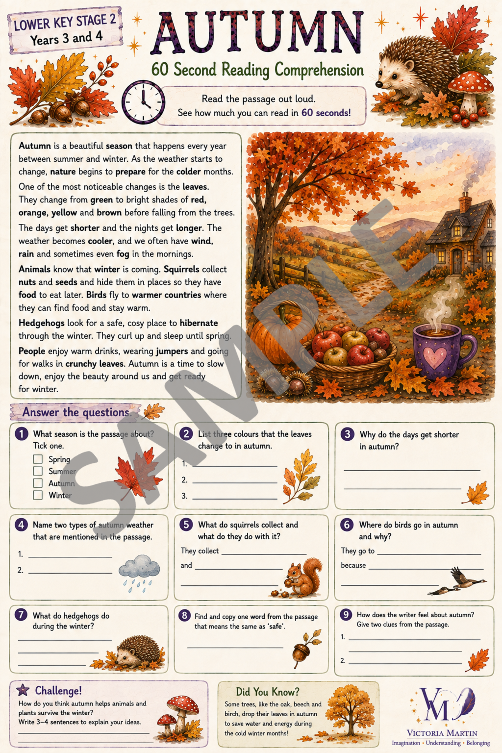 Autumn Key Stage 2 Lower Reading Comprehension sample.png
