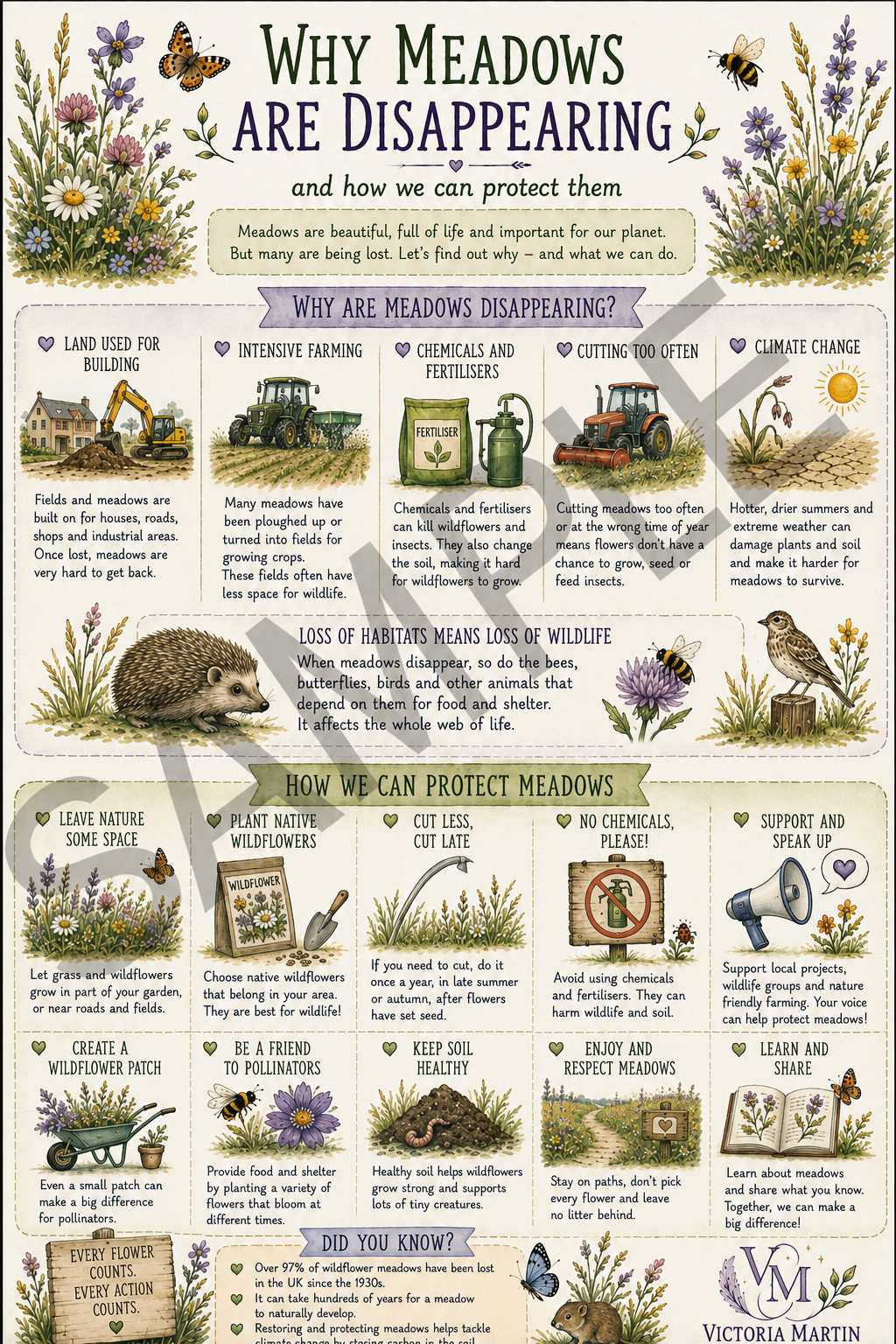 Why are Meadows Disappearing Infographic