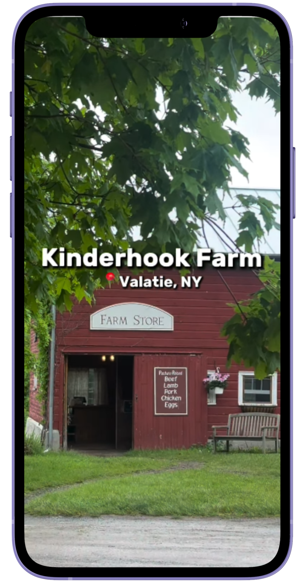 Phone mockup of an Instagram reel showing Kinderhook Farm, a red wooden barn