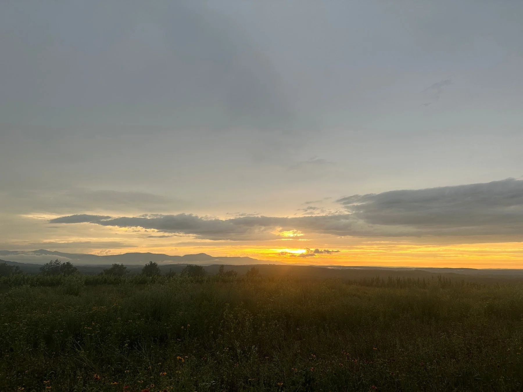 The sun sets behind clouds over a field of wildflowers with mountains in the background