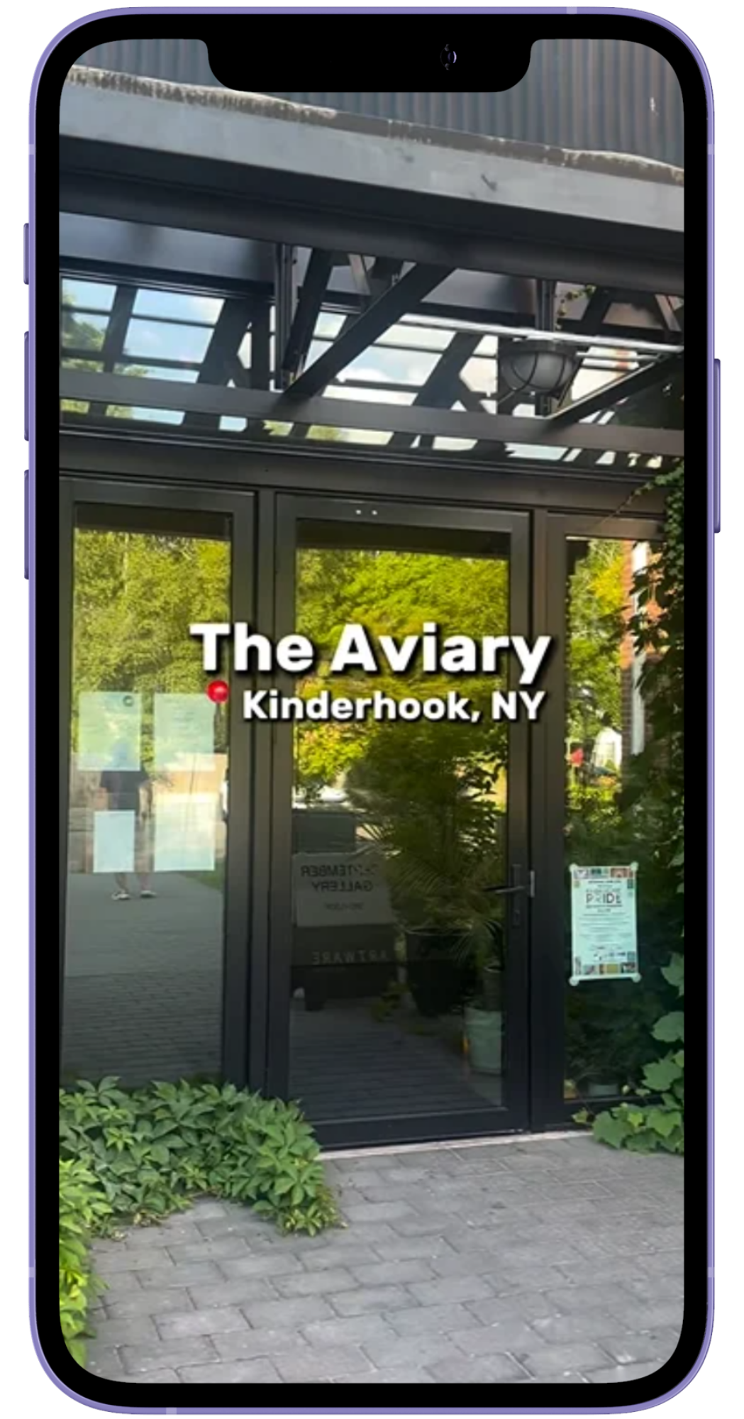 Phone mockup of an Instagram reel showing The Aviary, a restaurant in Hudson NY