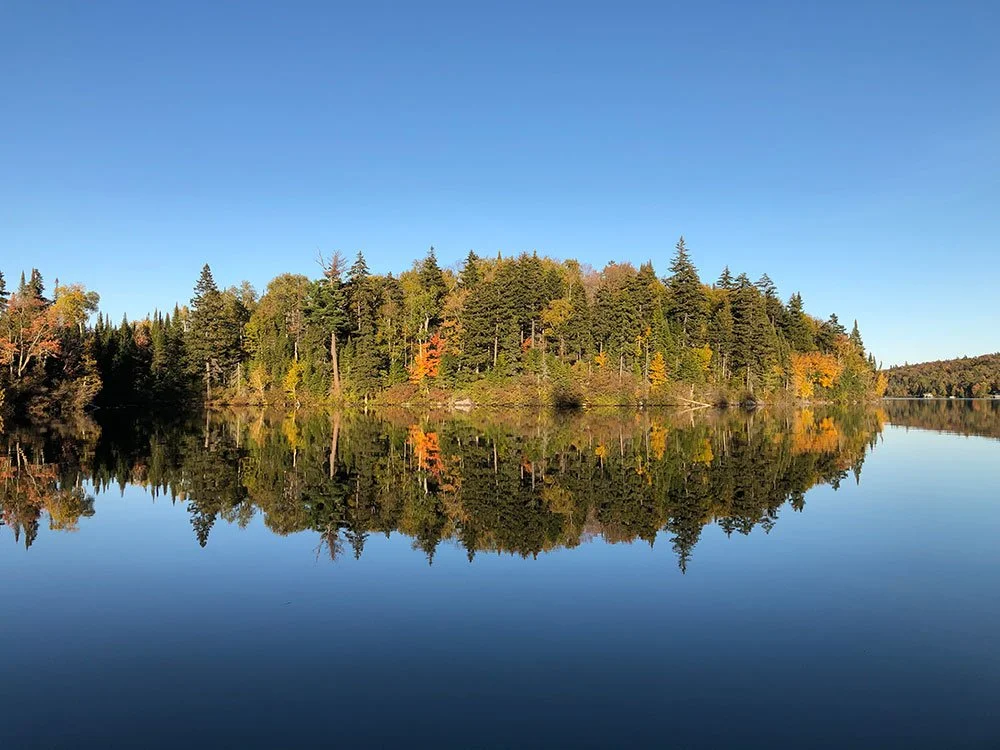 A calm lake reflecting a tree-covered island with green, yellow, and orange foliage under a clear blue sky.