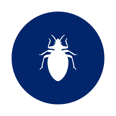 Bed-Bug-Control-Southern-Pride-Pest-Control-North-Alabama