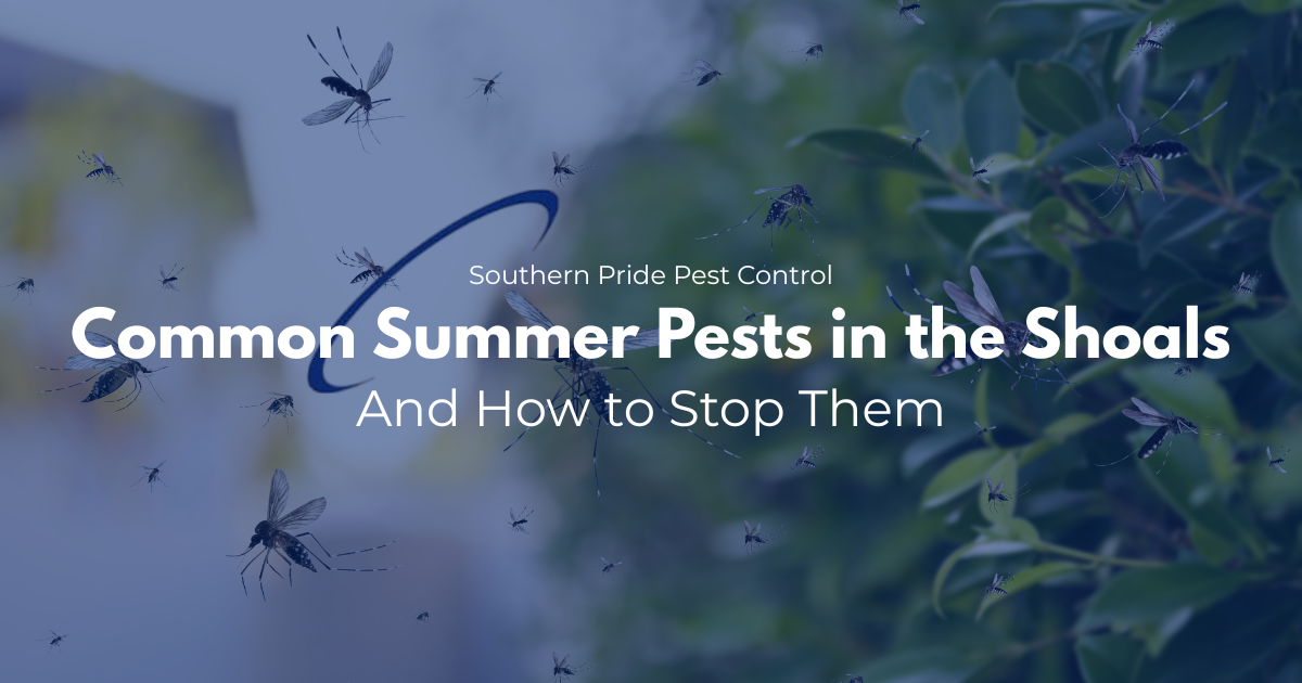 Common Summer Pests in the Shoals (And How to Stop Them)