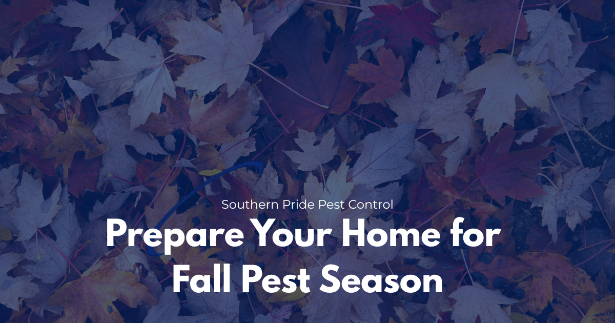 Prepare Your Home for Fall Pest Season