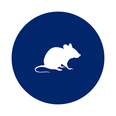 Rodent-Control-Southern-Pride-Pest-Control-North-Alabama